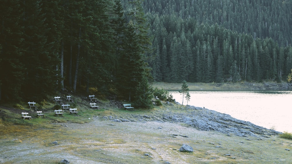 a group of houses by a lake