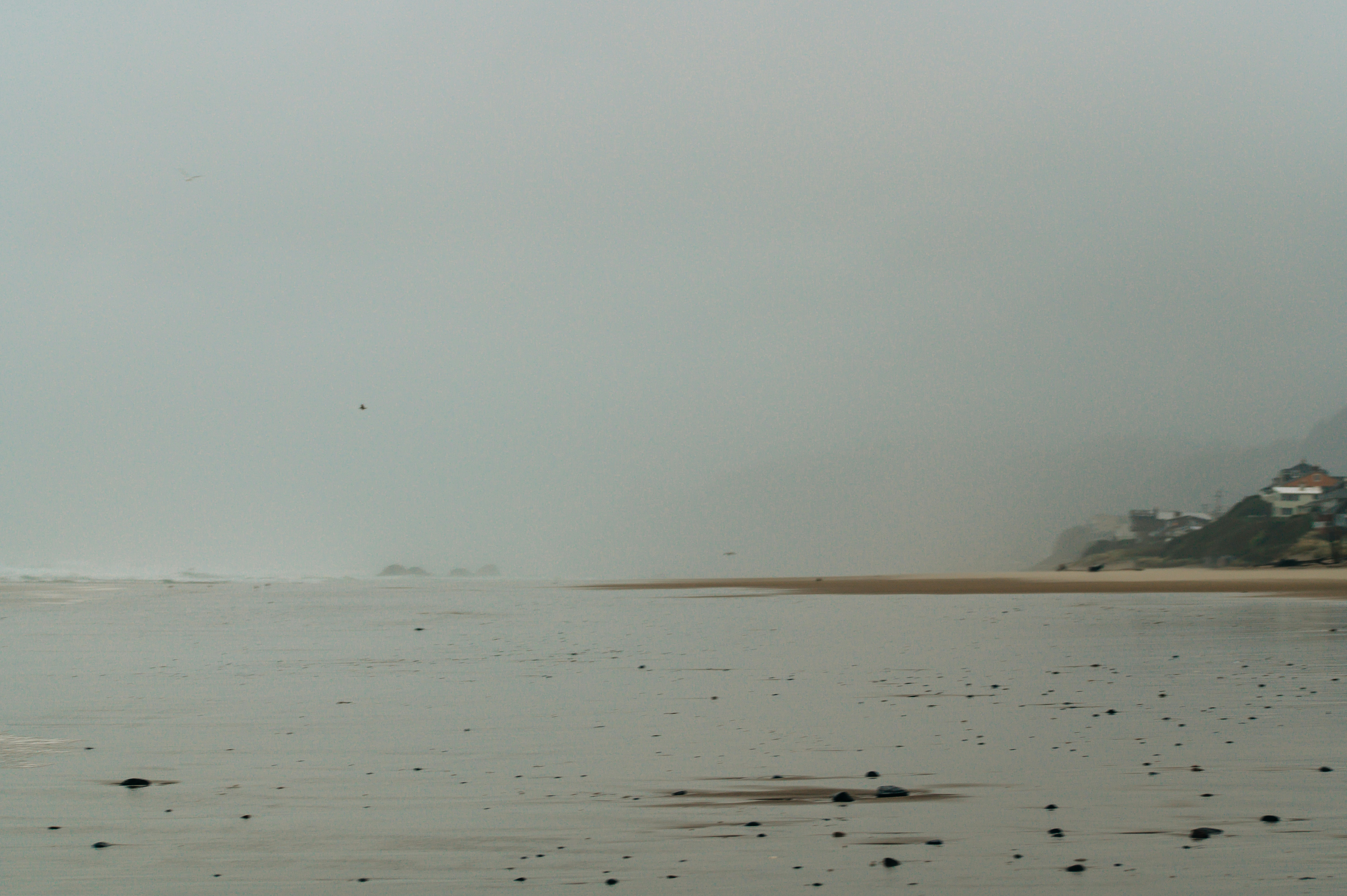 Photo by brittfowler