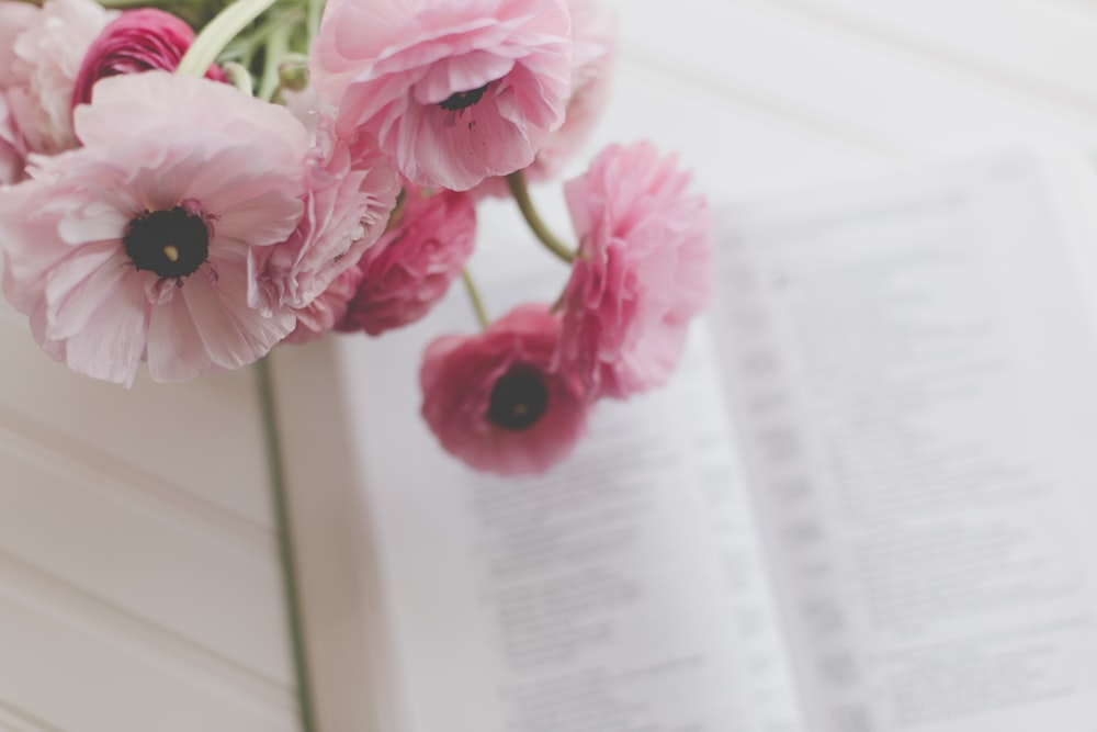 a vase with pink flowers