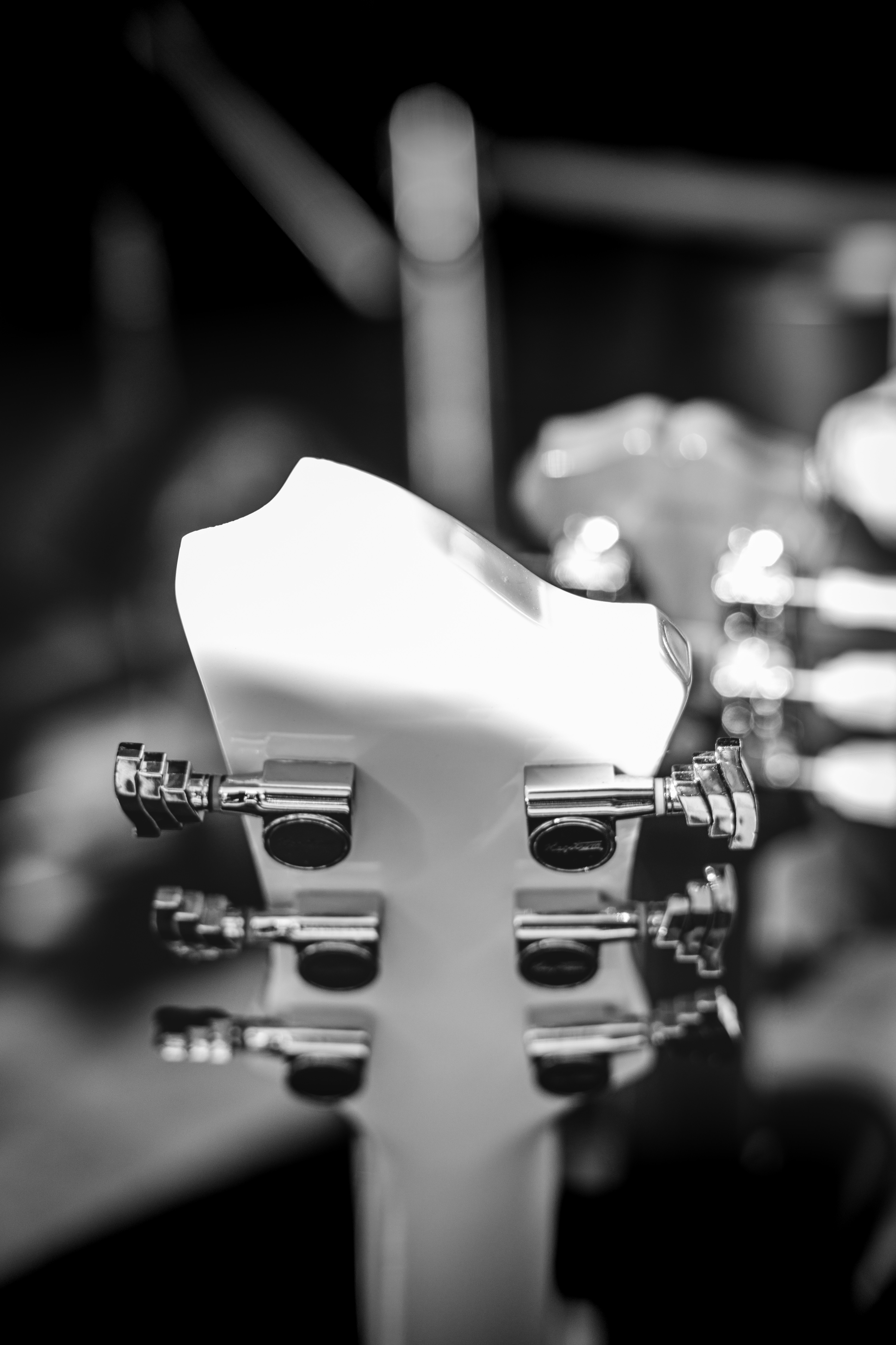 Photo by kalaniparker