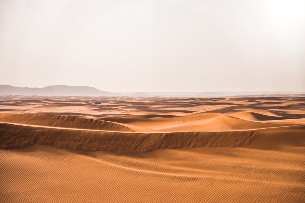 a desert landscape with sand dunes