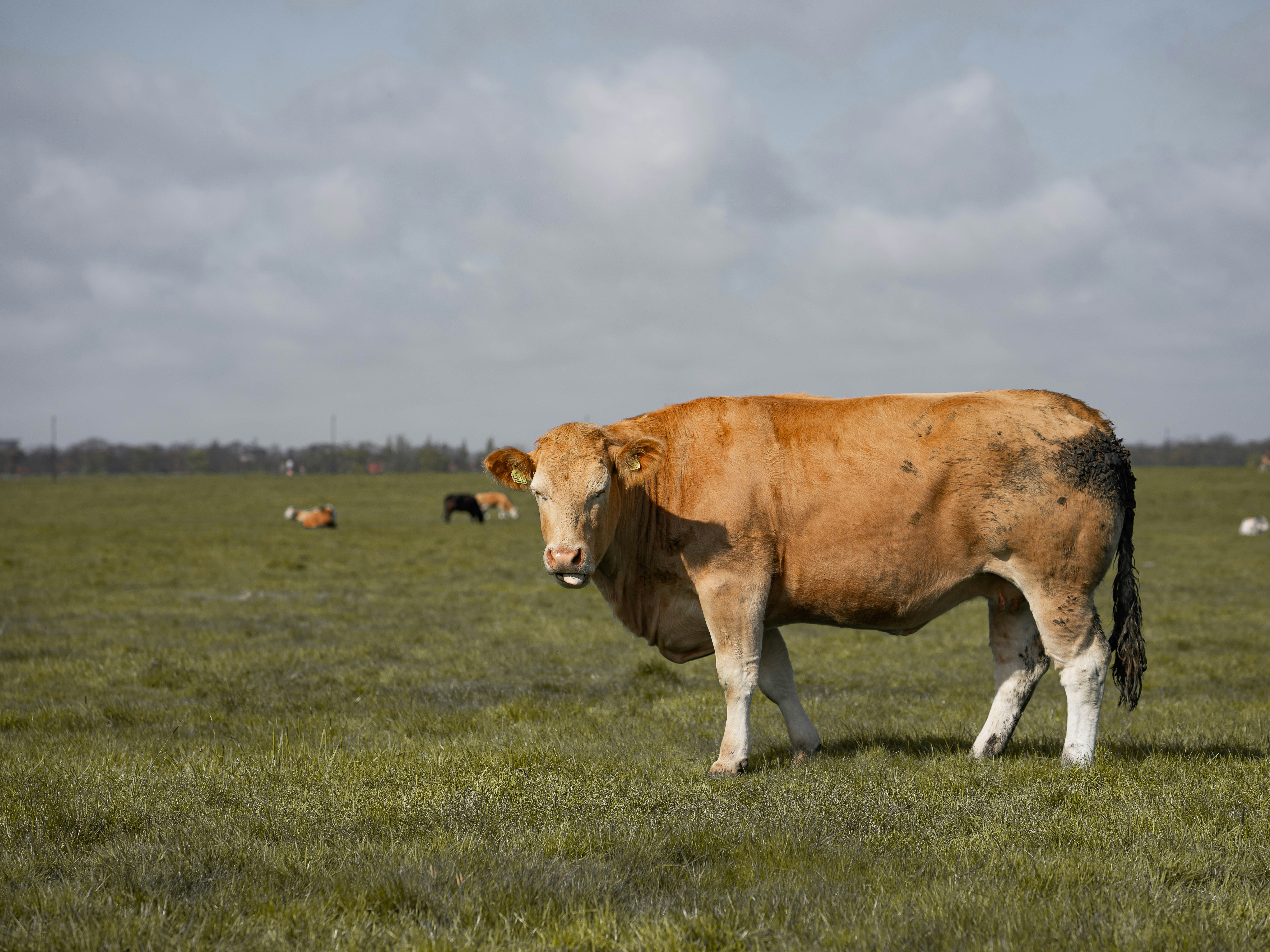 Photo by tangzhengtao