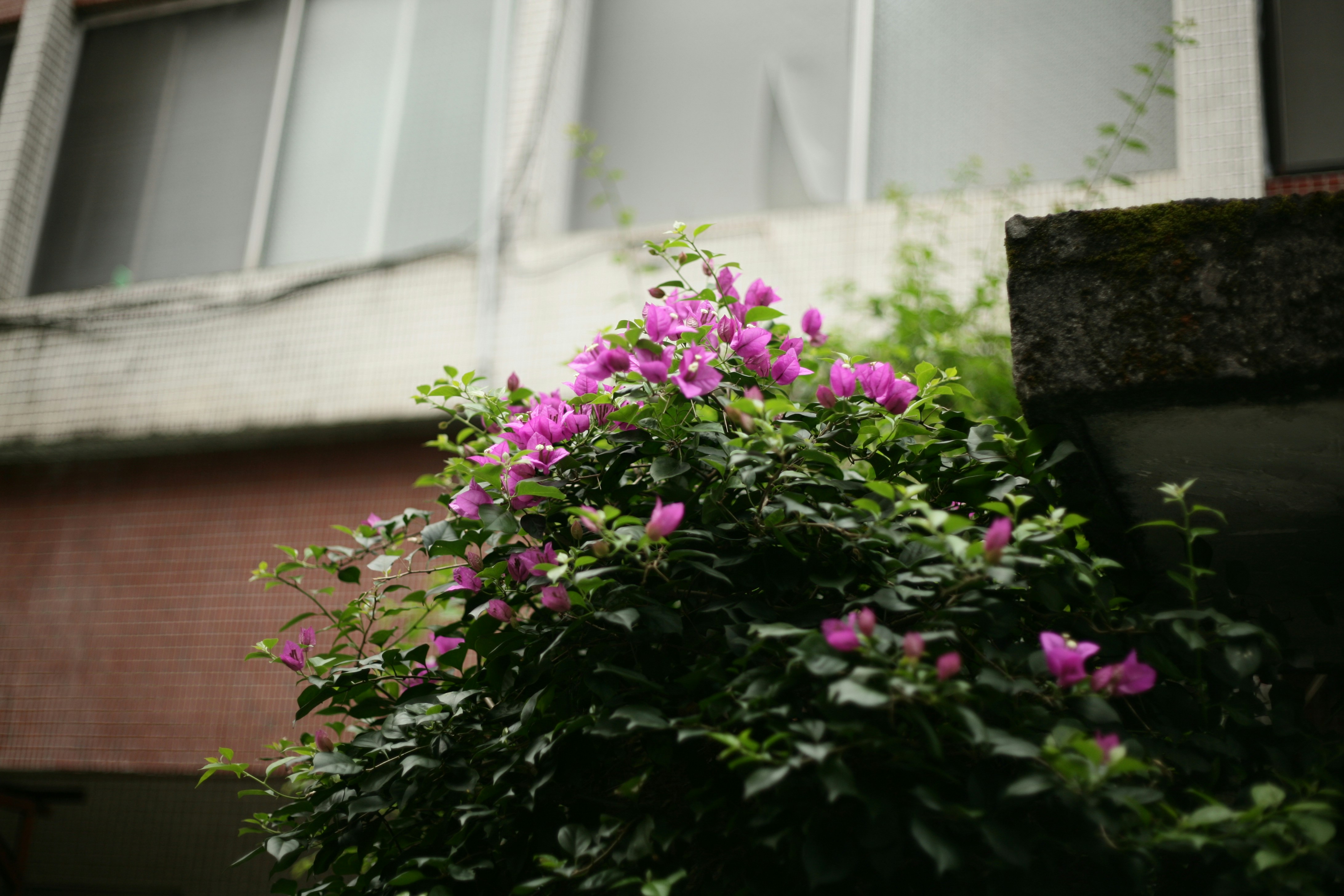 Photo by mclee