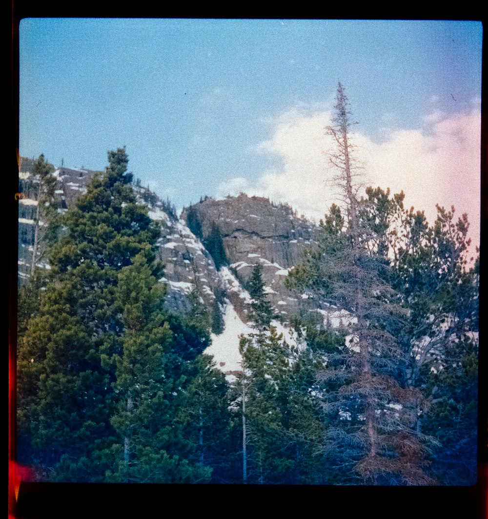 a waterfall in a forest