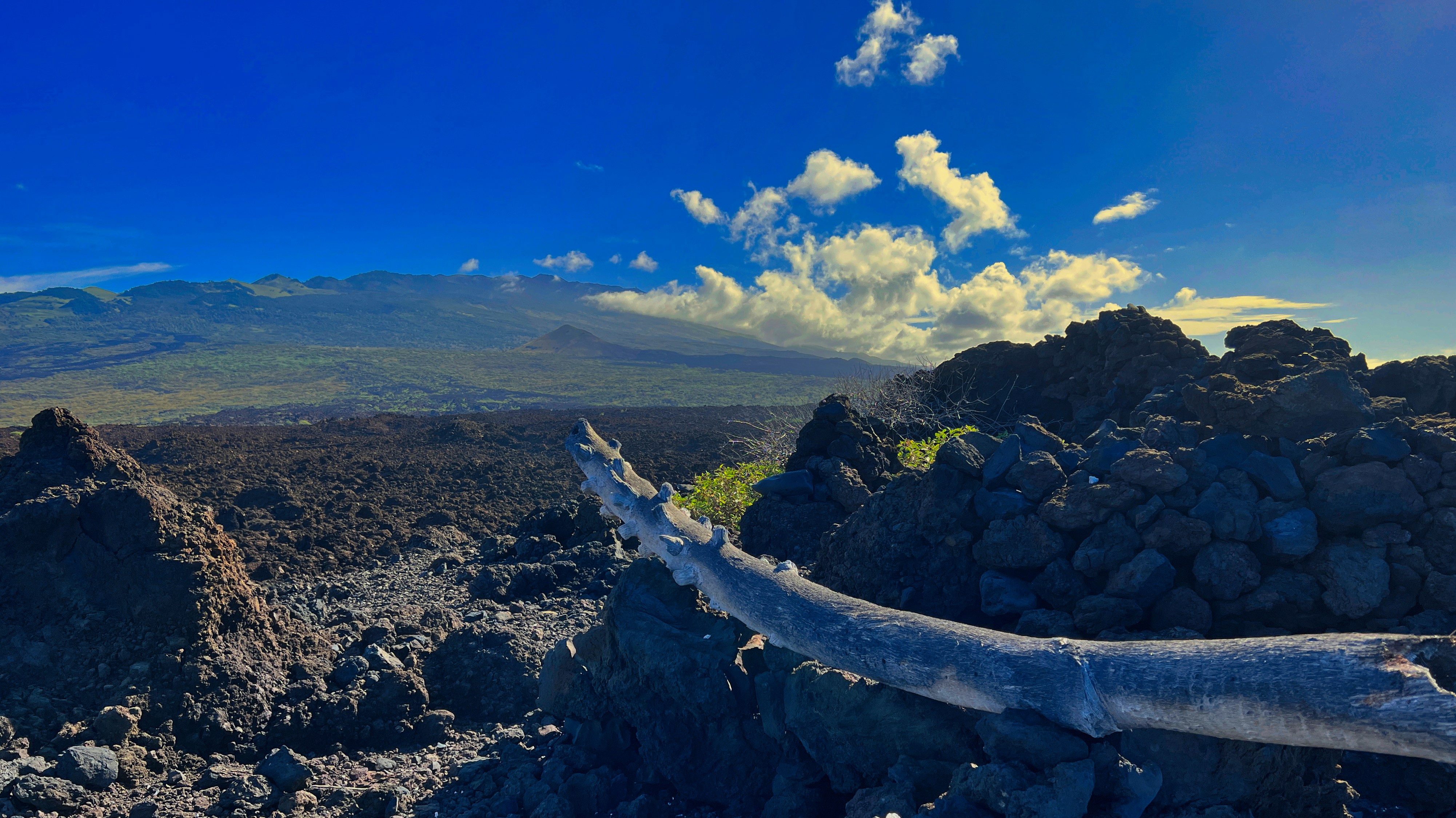 Przewodnik po Lanzarote