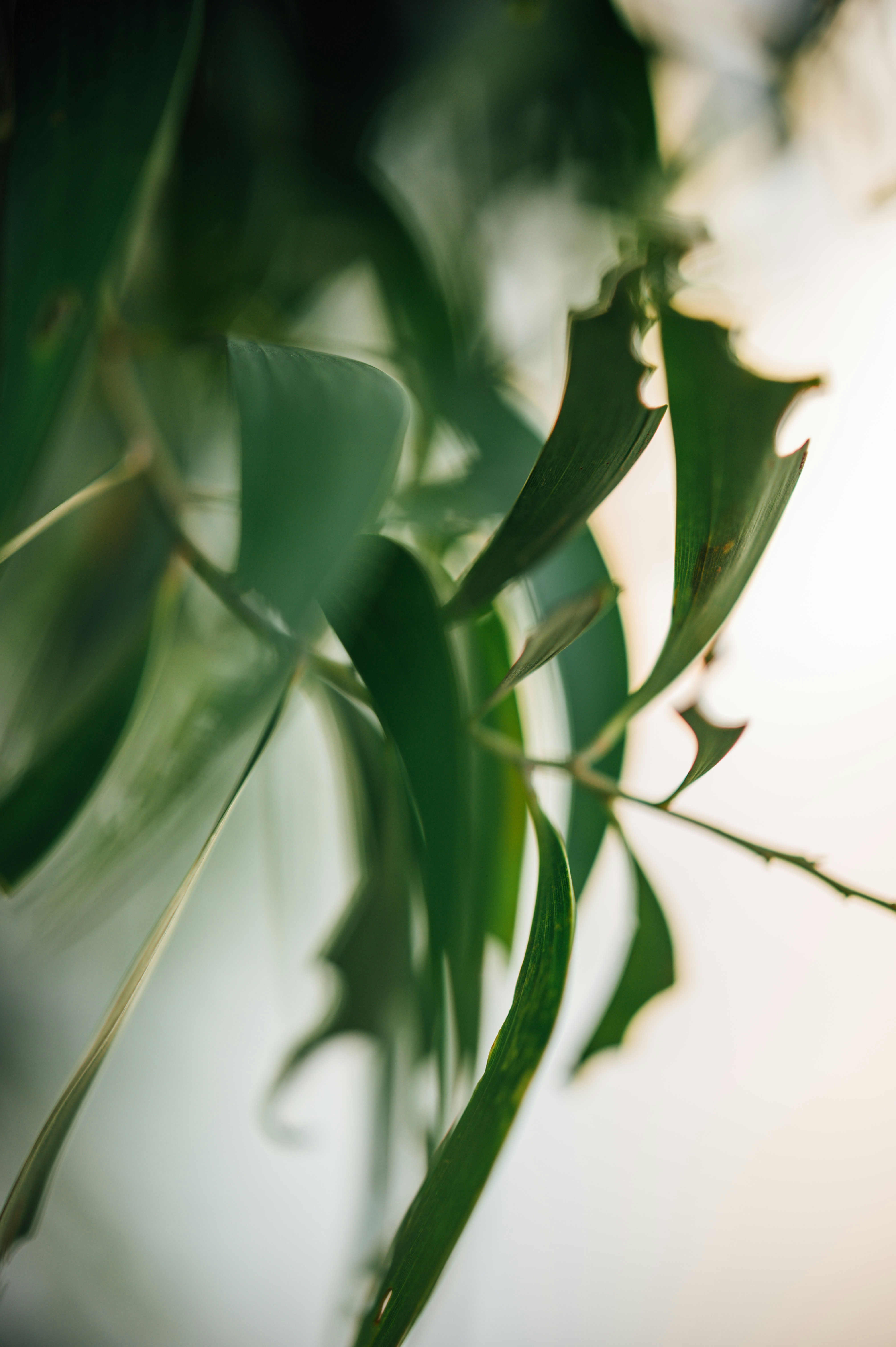 Photo by chuttersnap