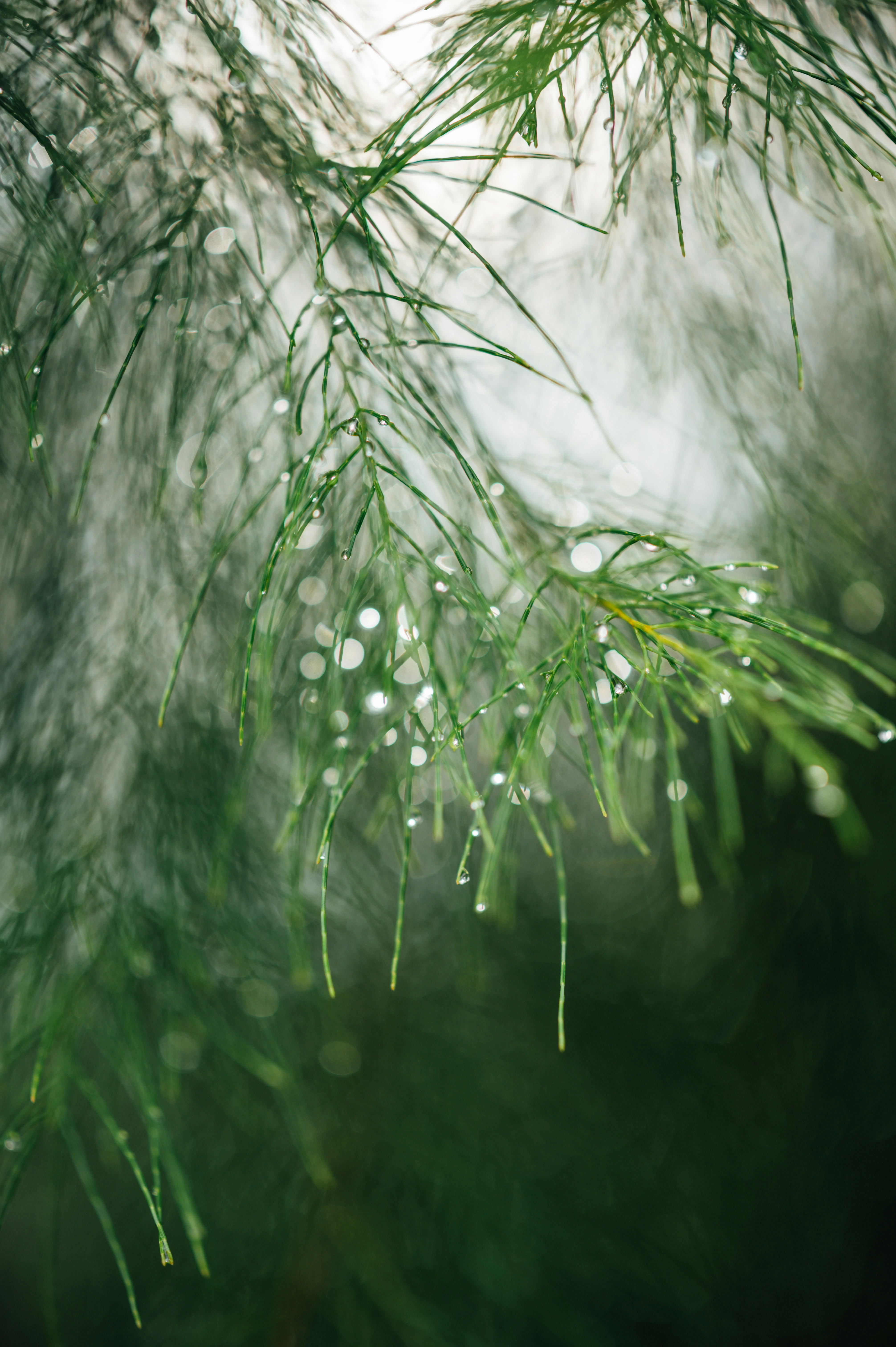 Photo by chuttersnap