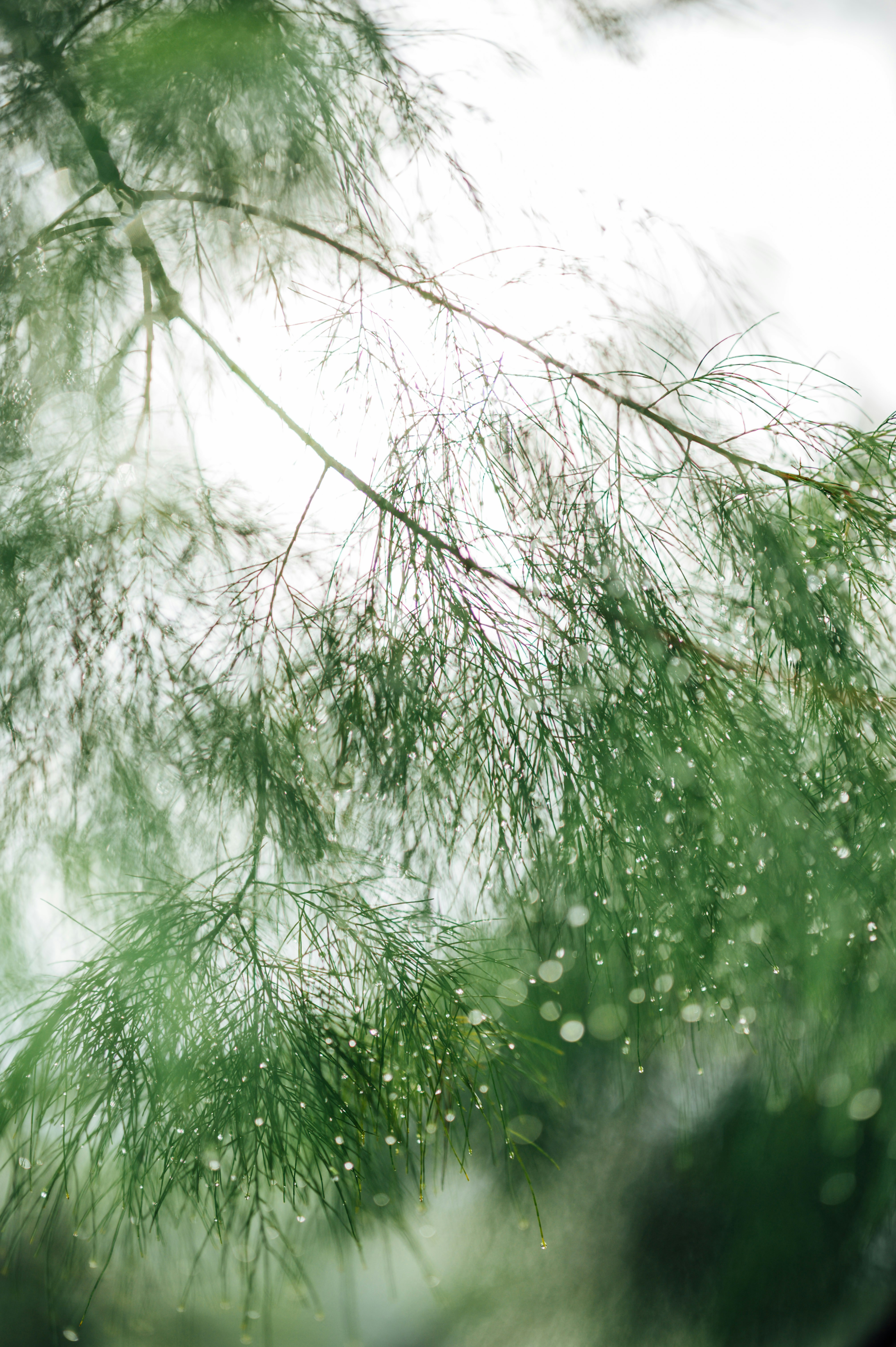 Photo by chuttersnap