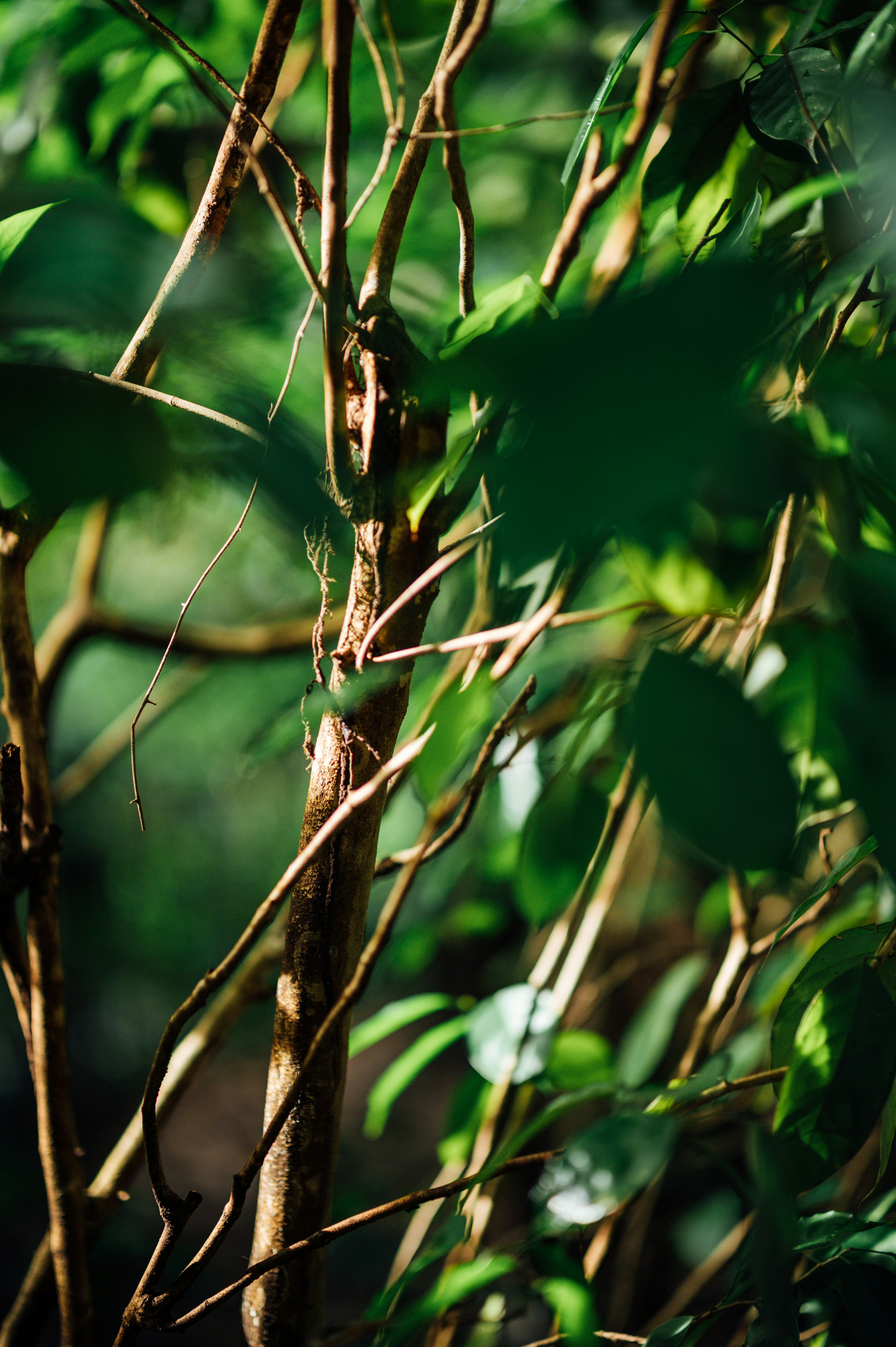 Photo by chuttersnap