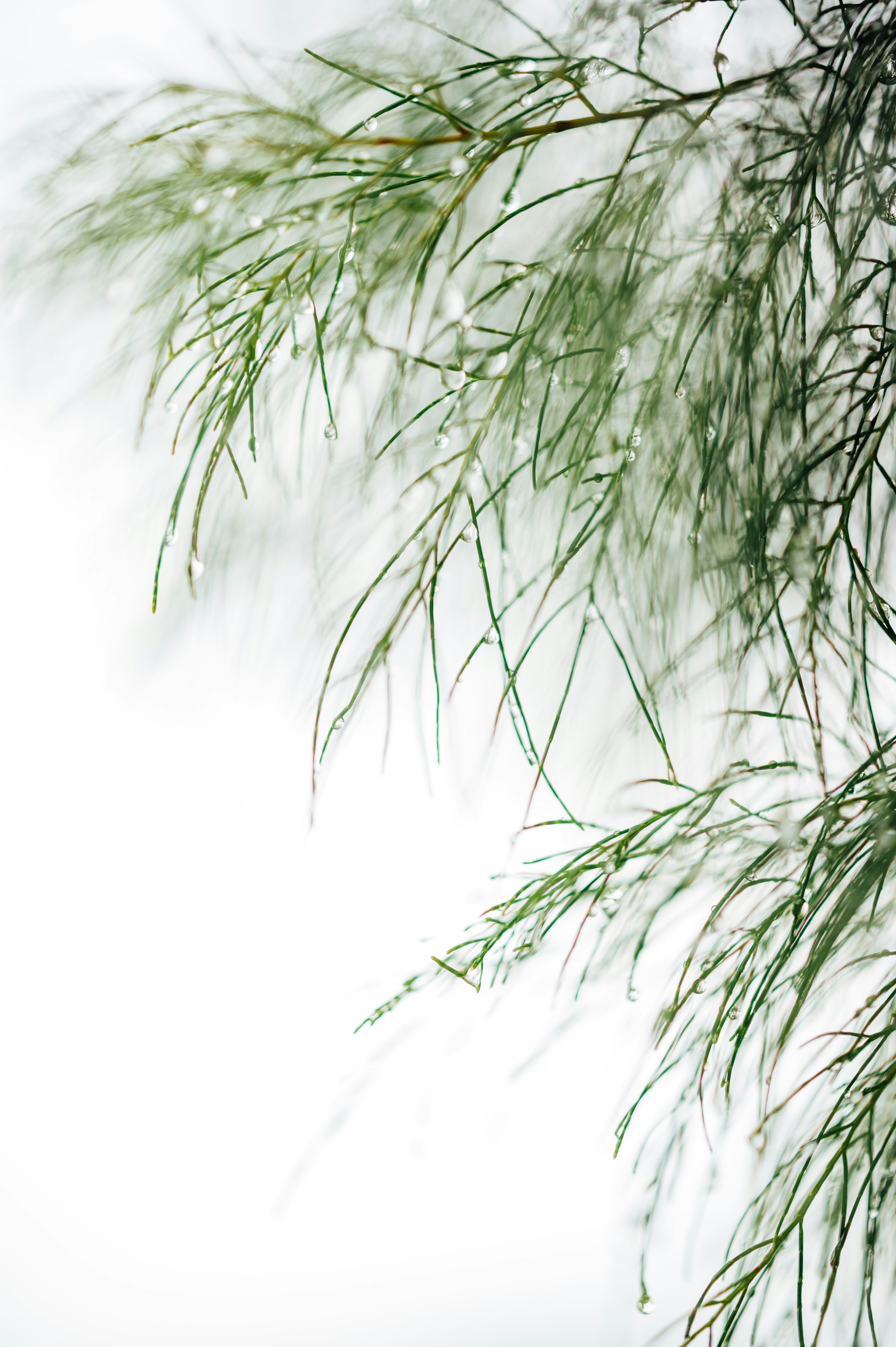 Photo by chuttersnap