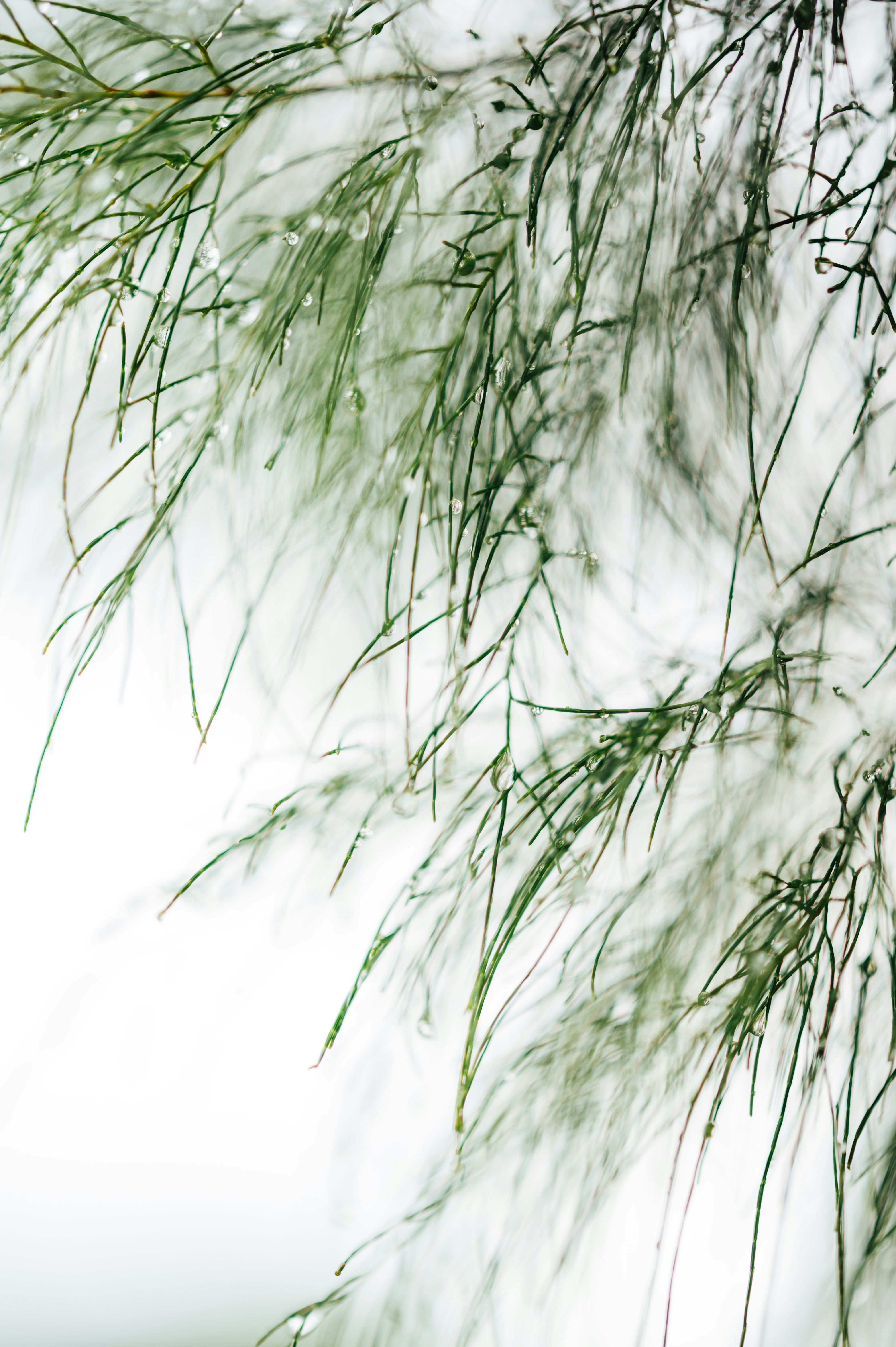 Photo by chuttersnap