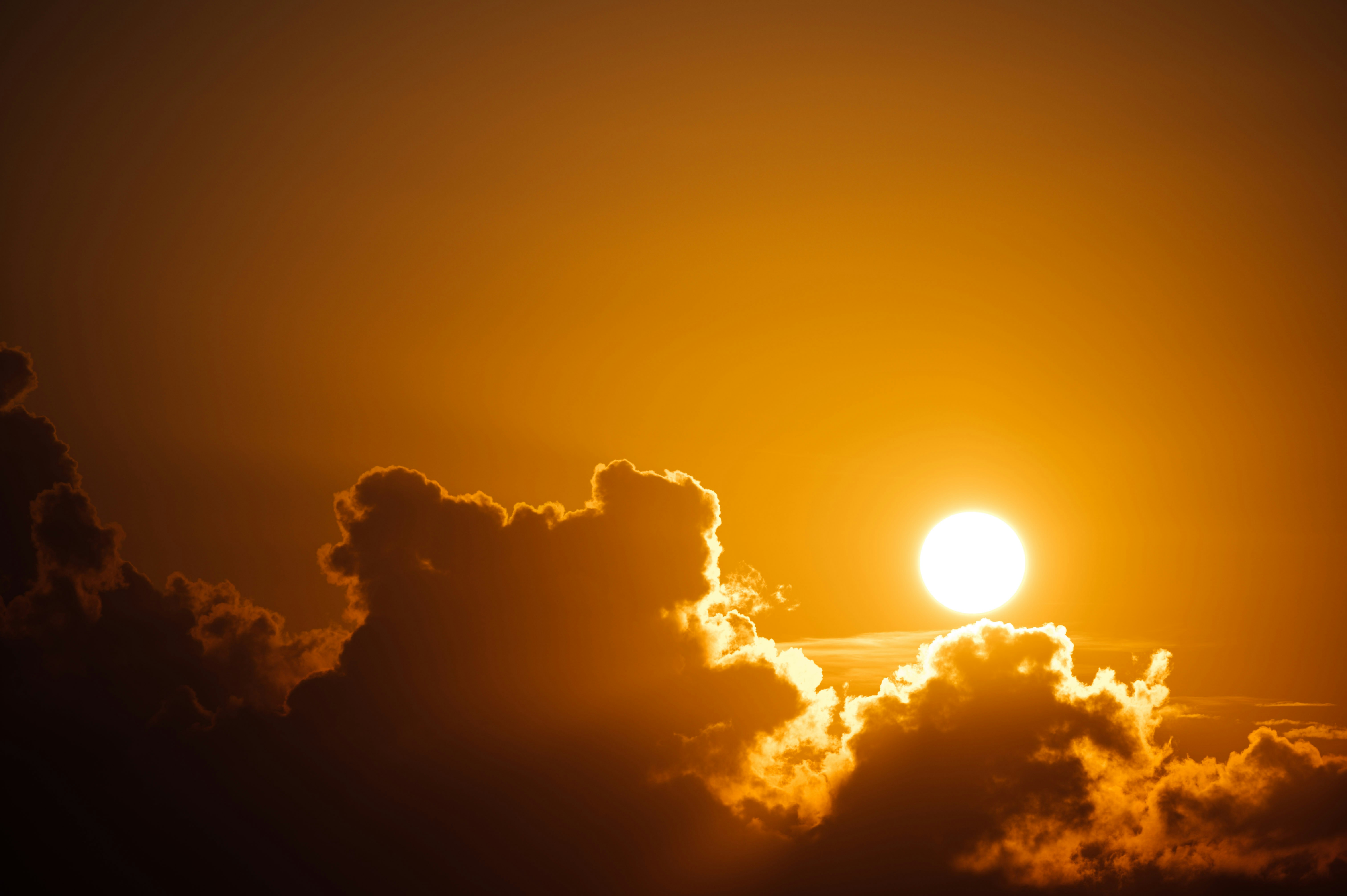 Photo by chuttersnap