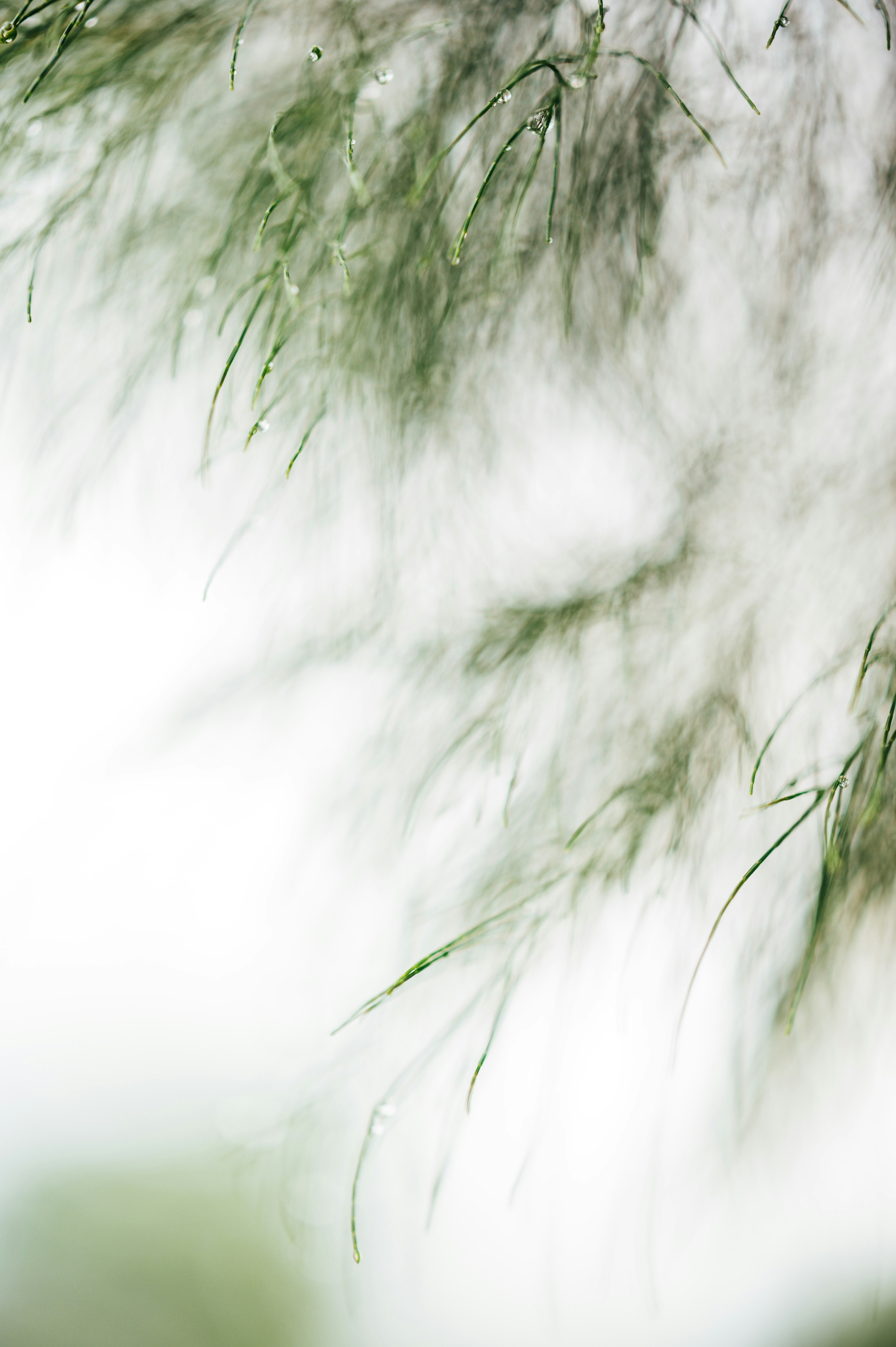 Photo by chuttersnap