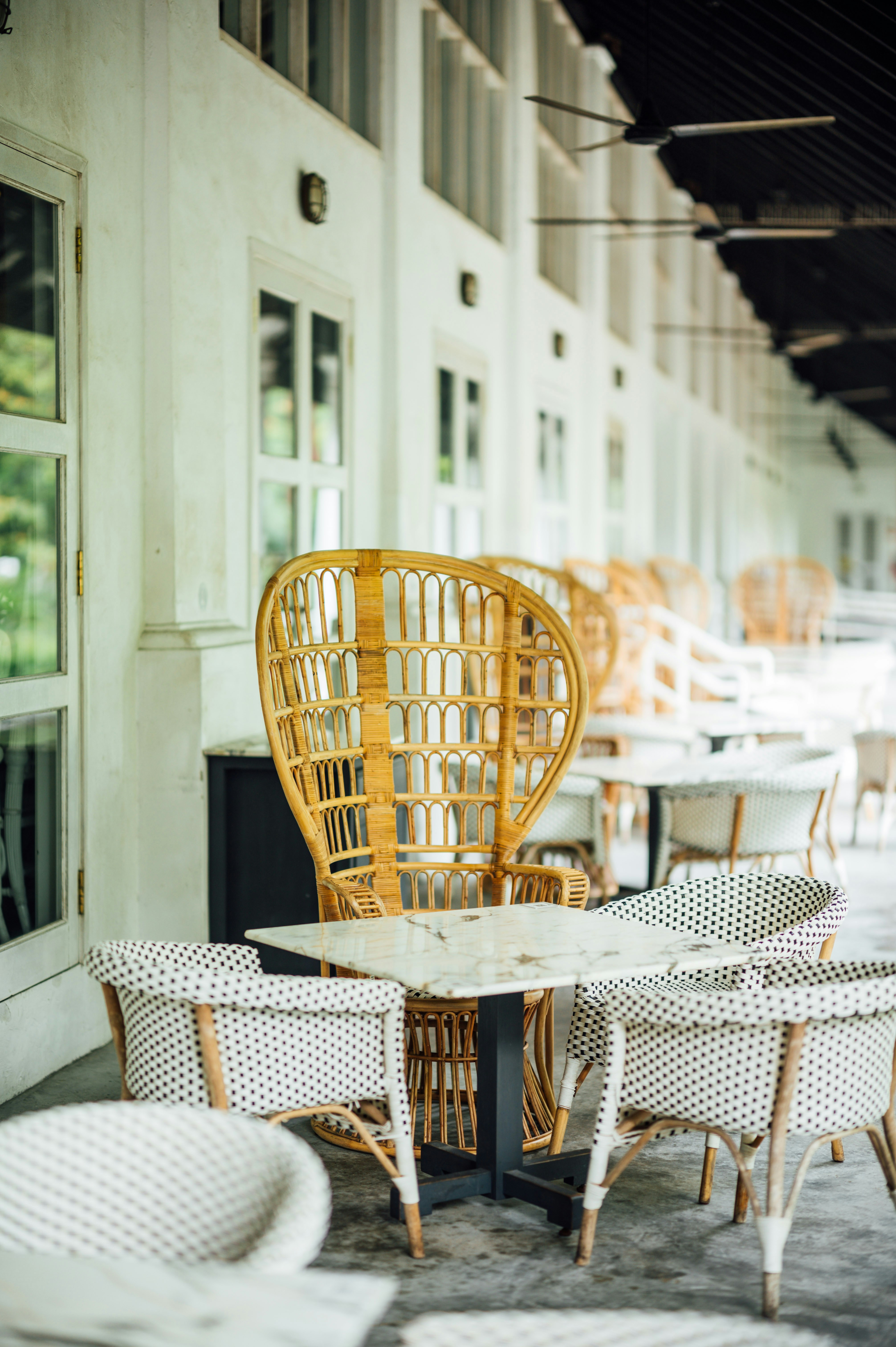 Photo by chuttersnap