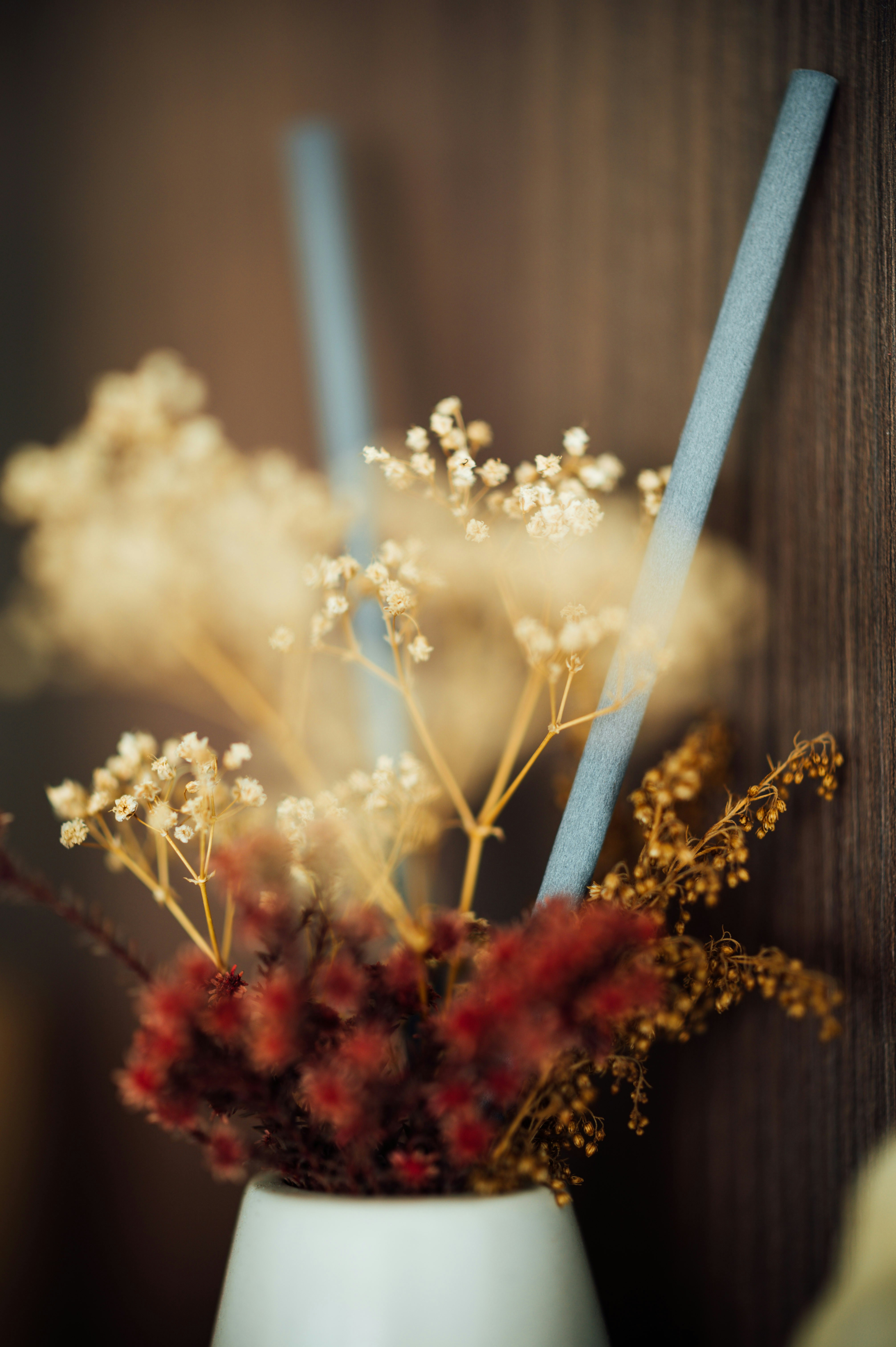 Photo by chuttersnap