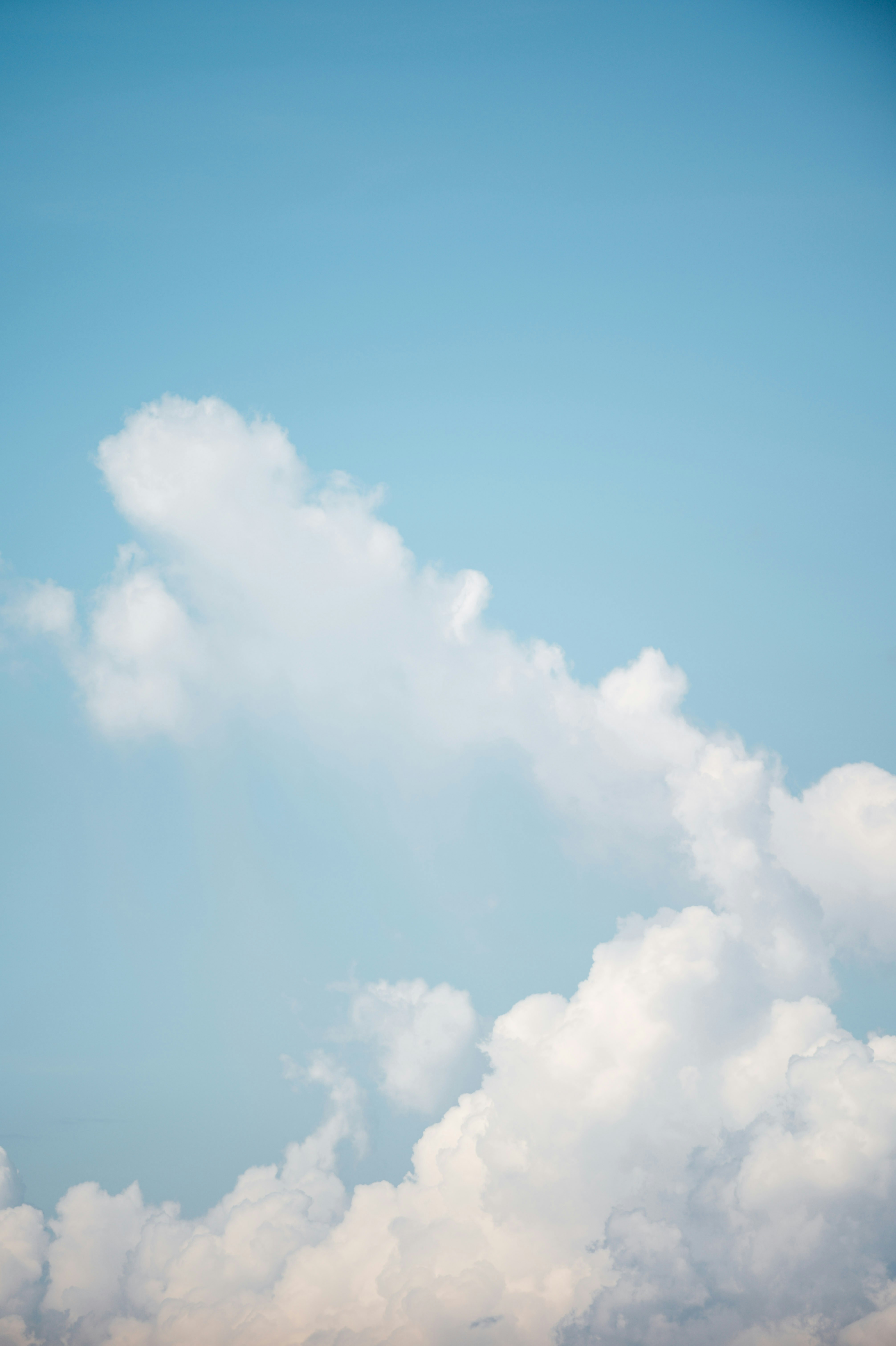 Photo by chuttersnap