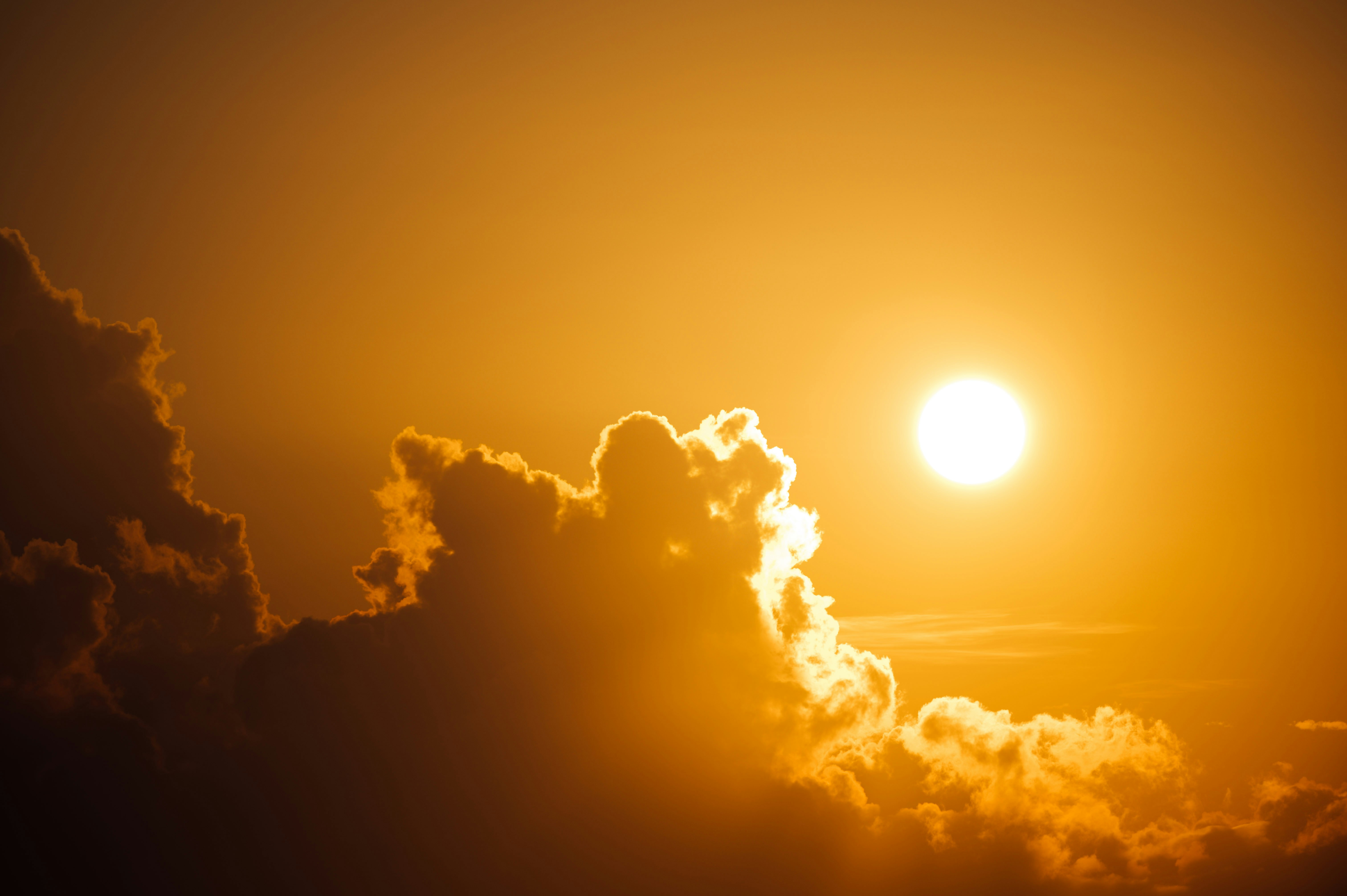 Photo by chuttersnap