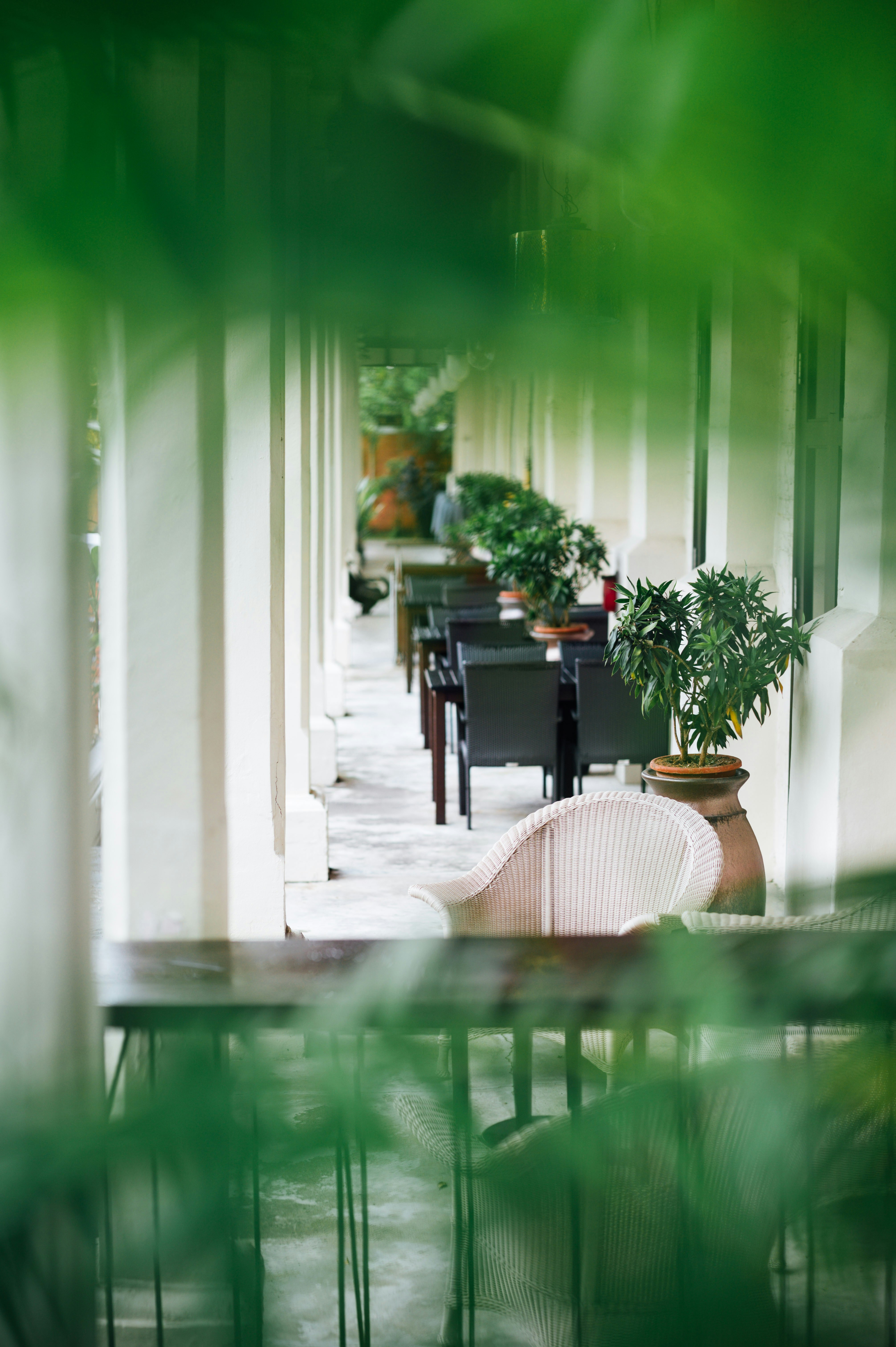 Photo by chuttersnap