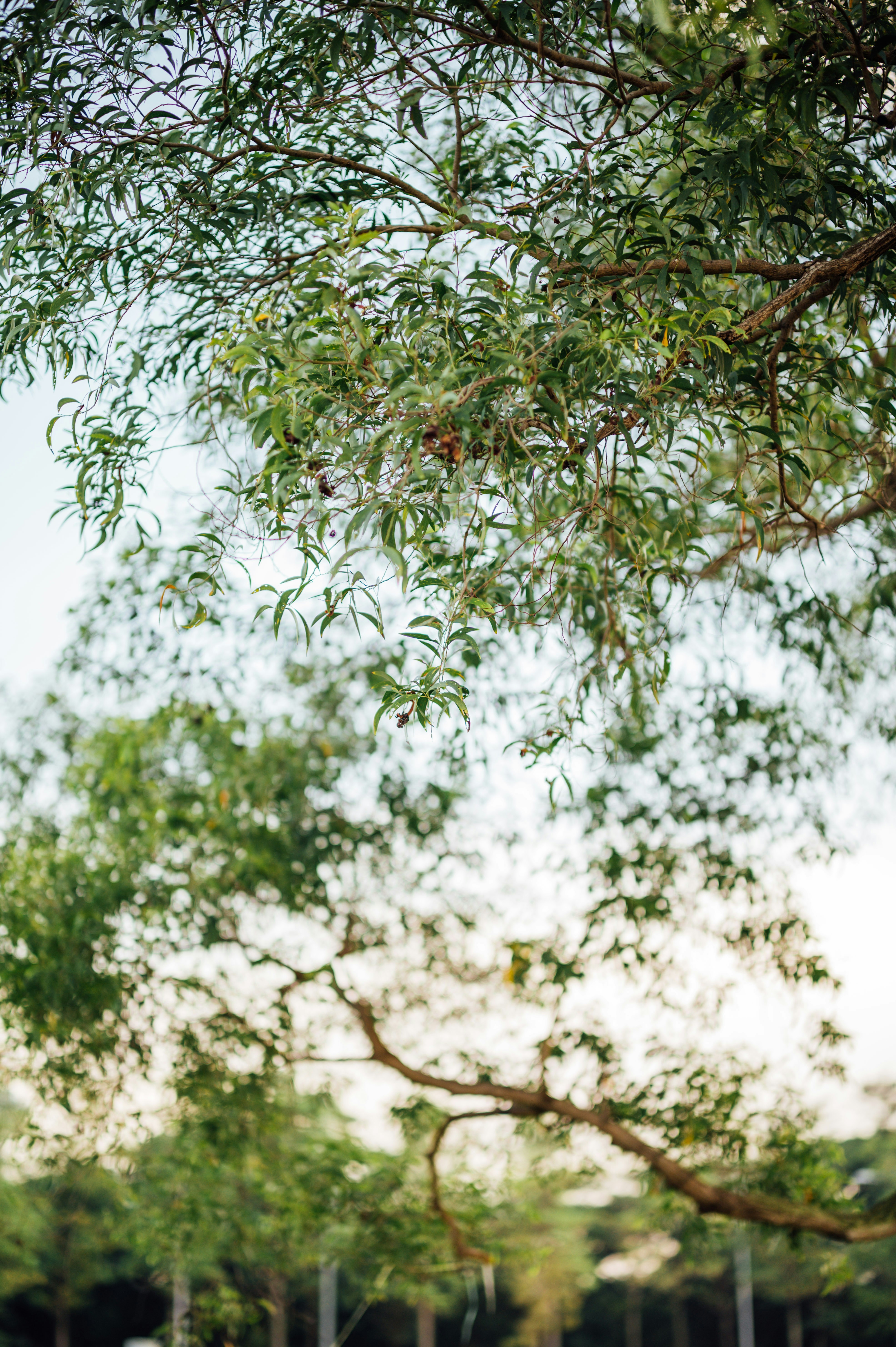 Photo by chuttersnap