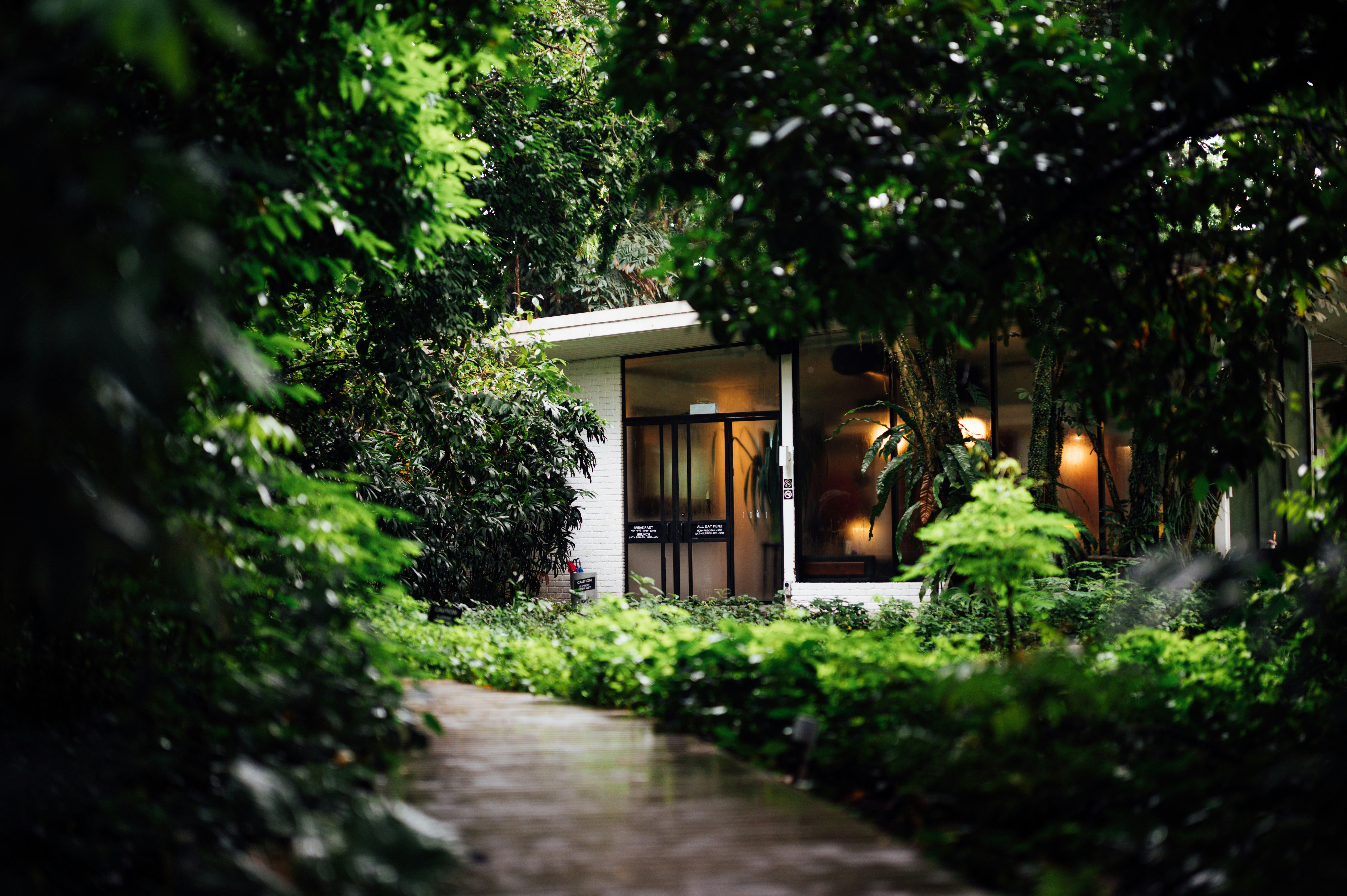 Photo by chuttersnap