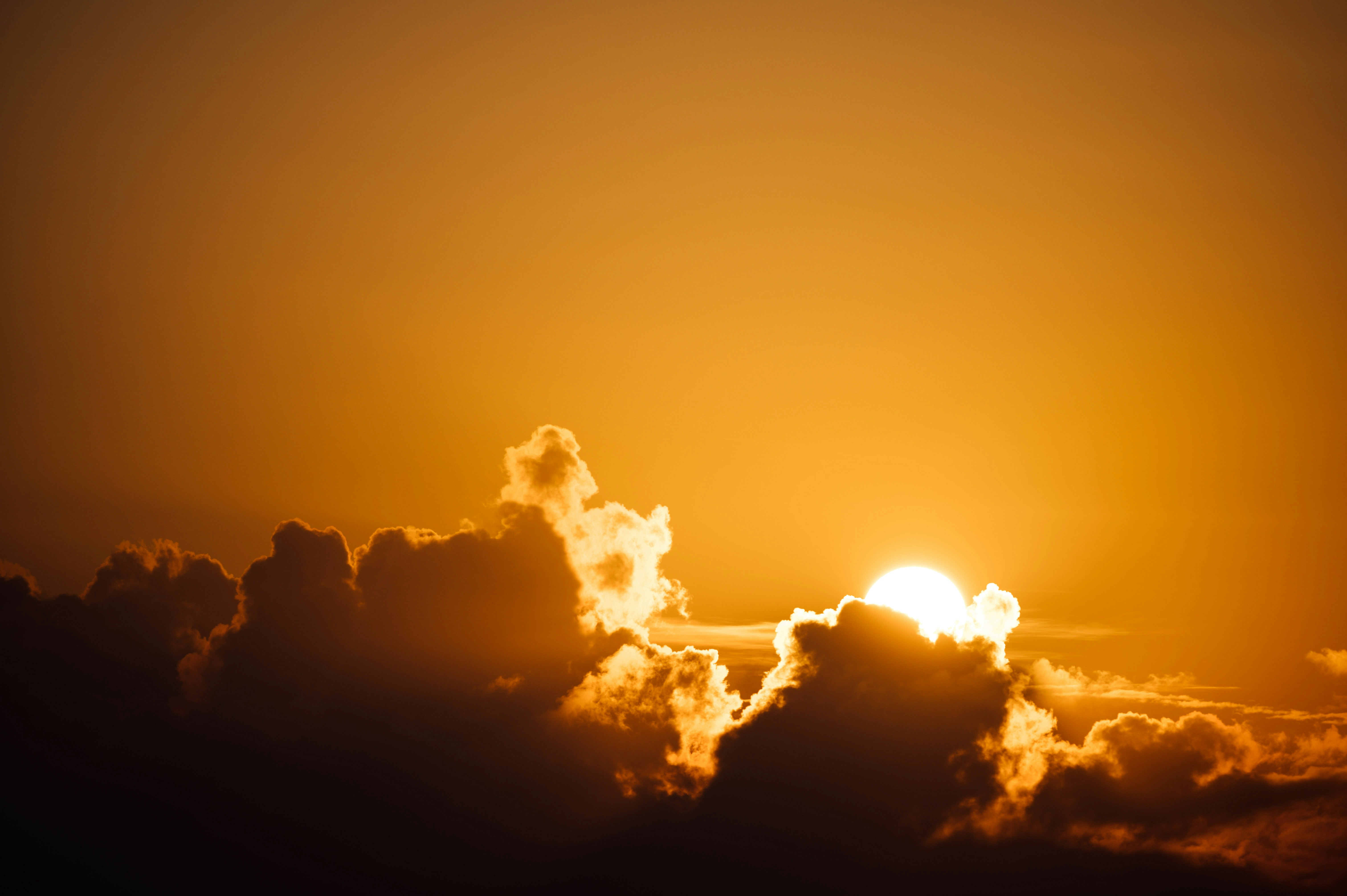 Photo by chuttersnap