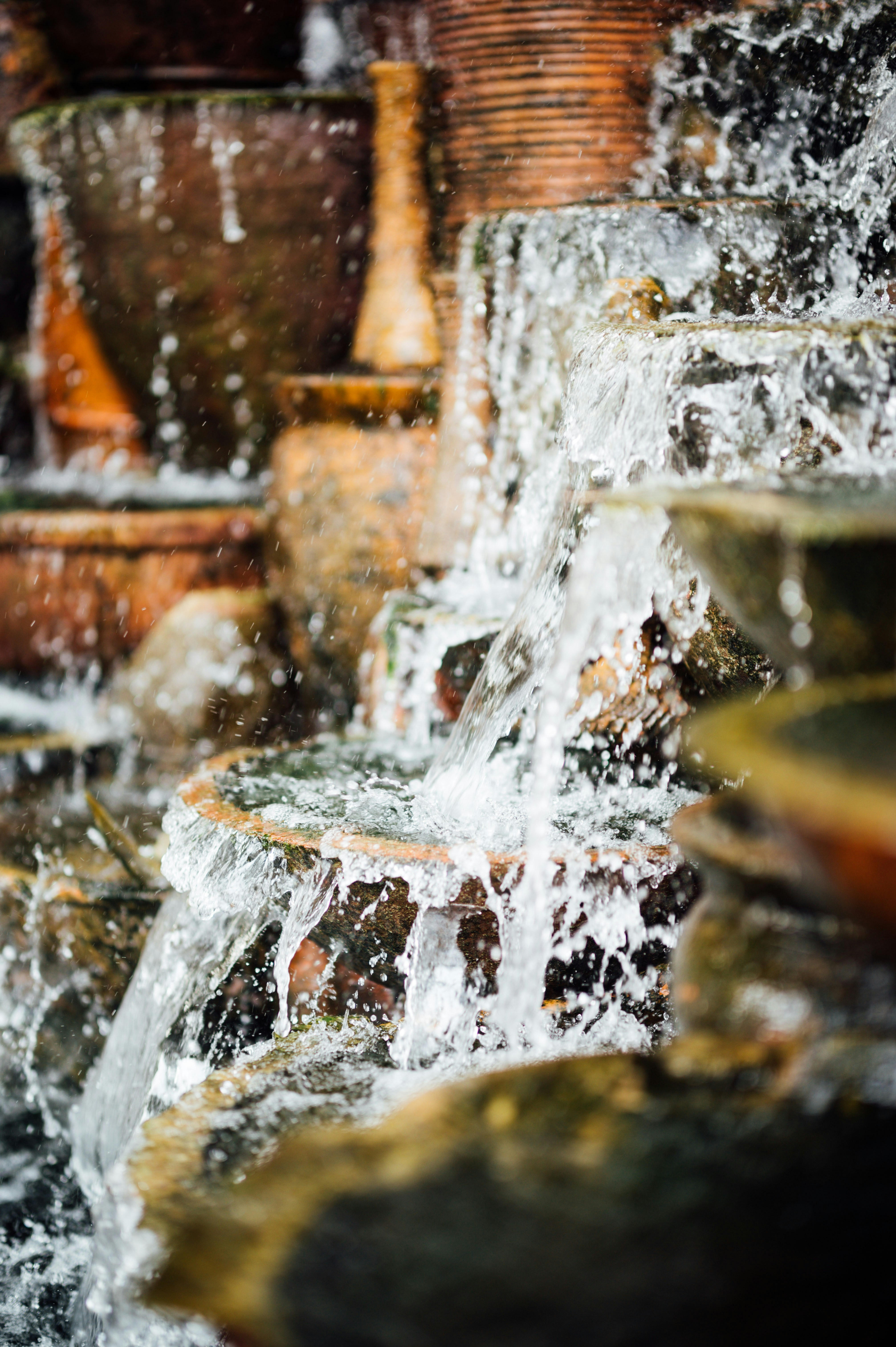 Photo by chuttersnap