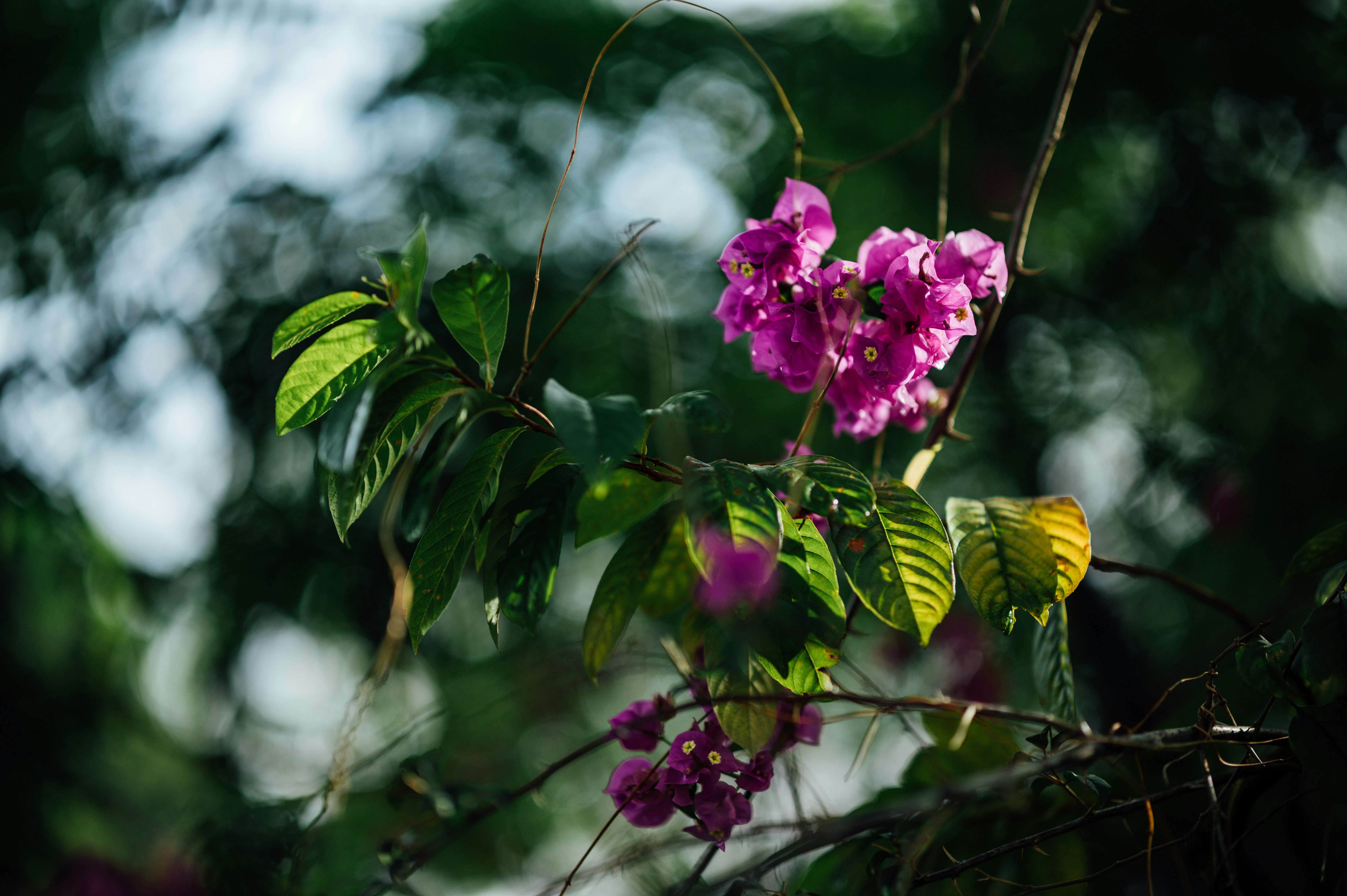 Photo by chuttersnap