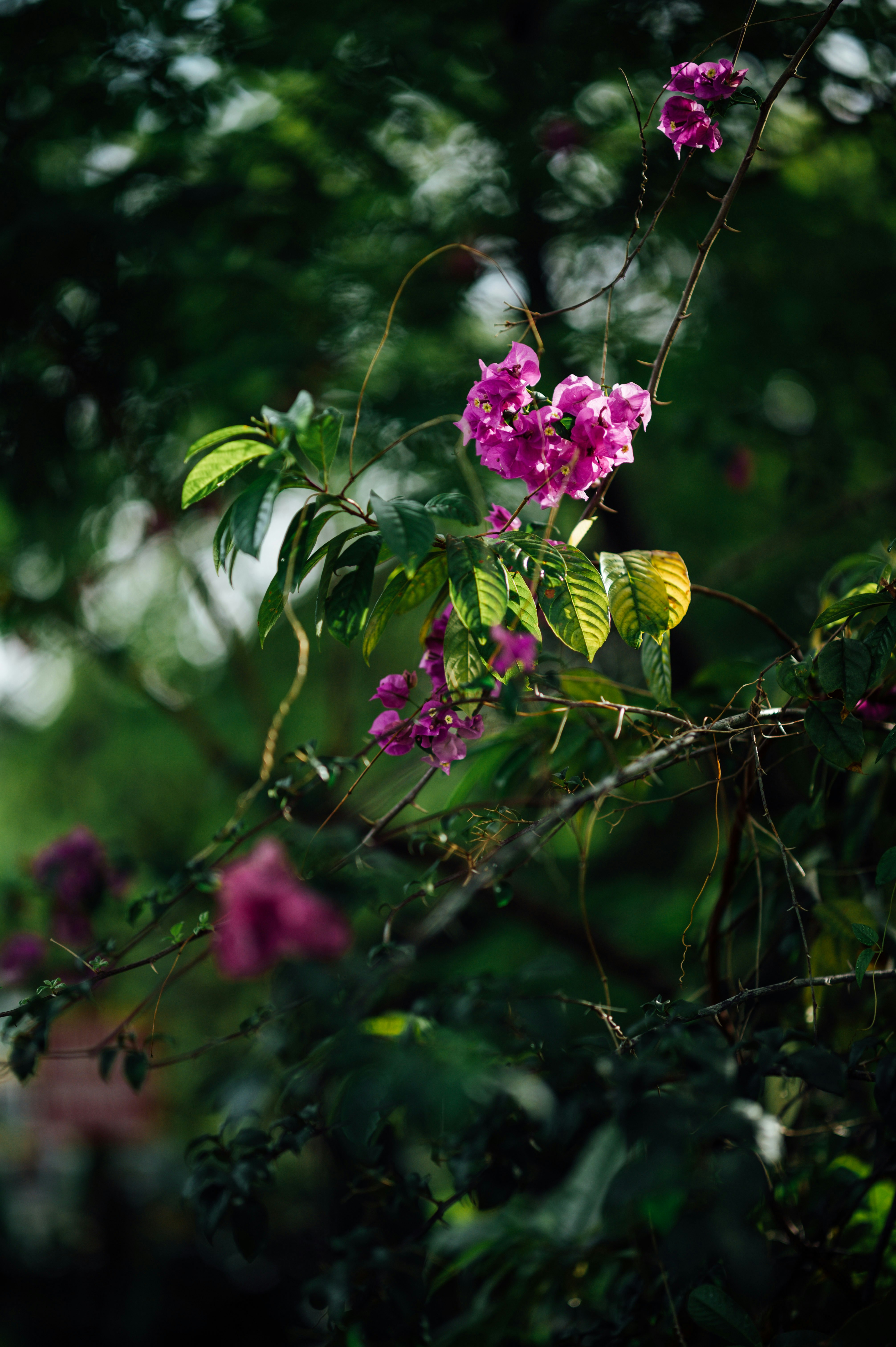 Photo by chuttersnap