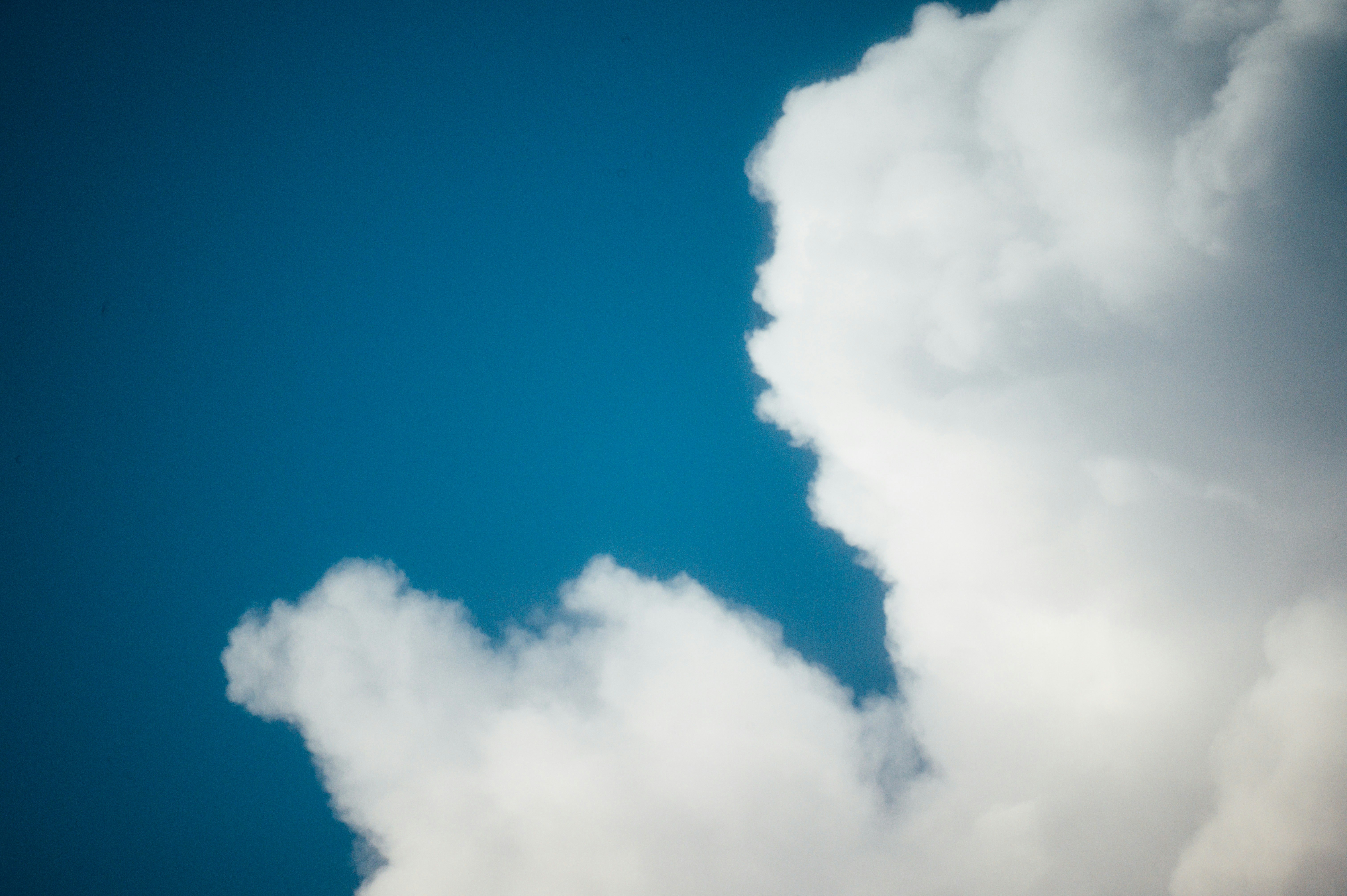 Photo by chuttersnap