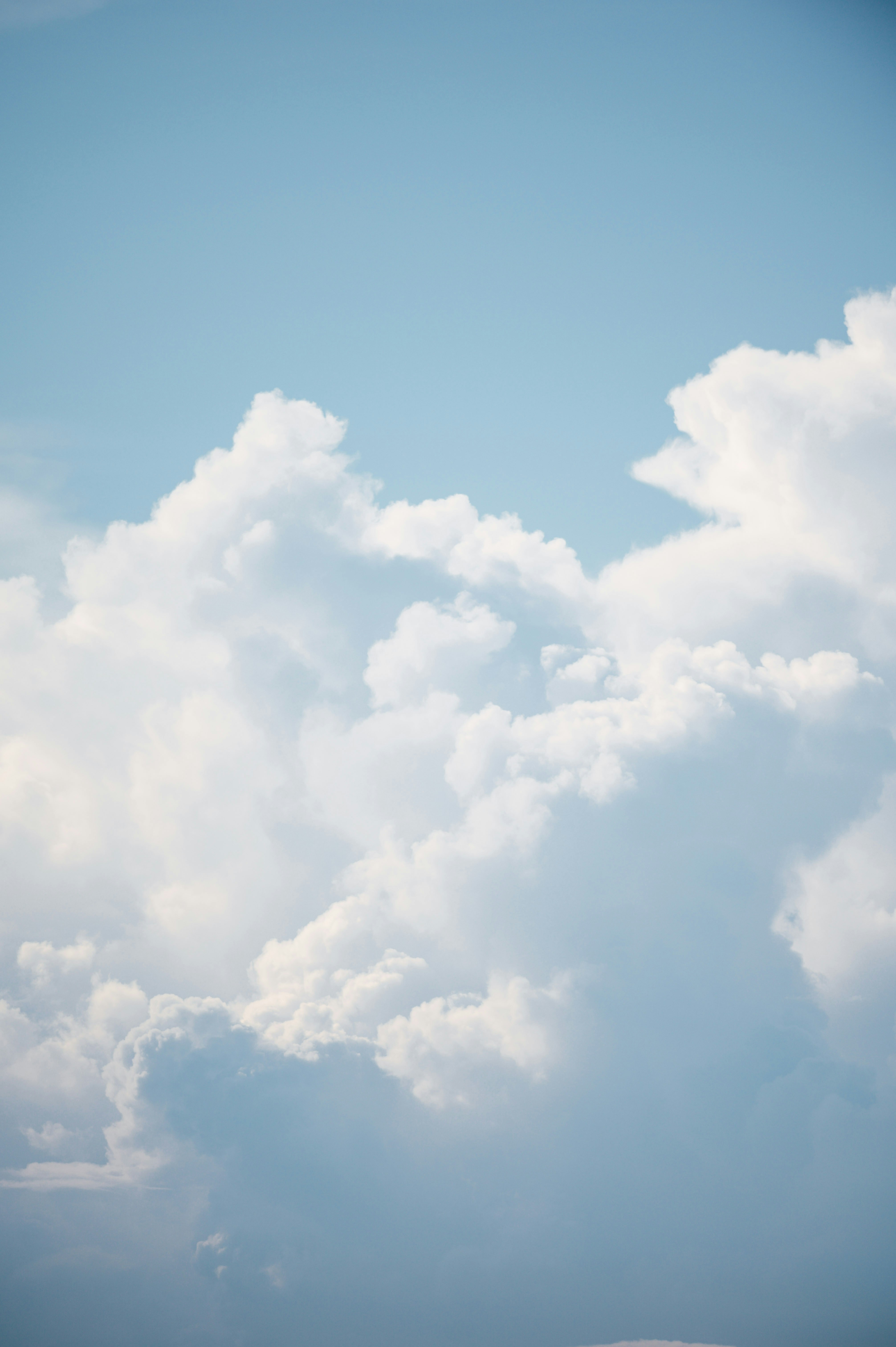 Photo by chuttersnap