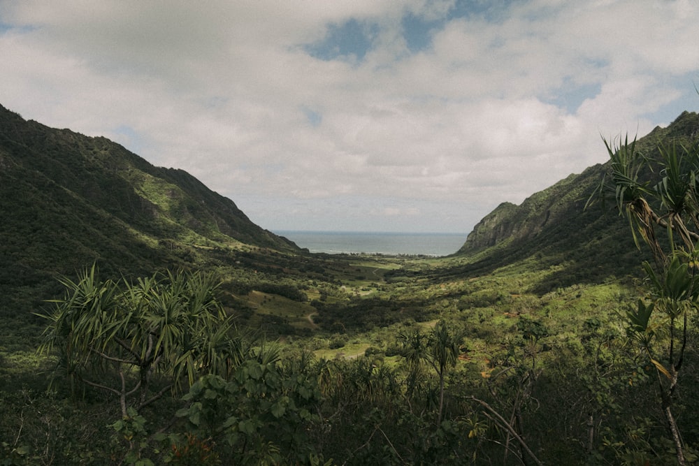 a landscape with hills and trees