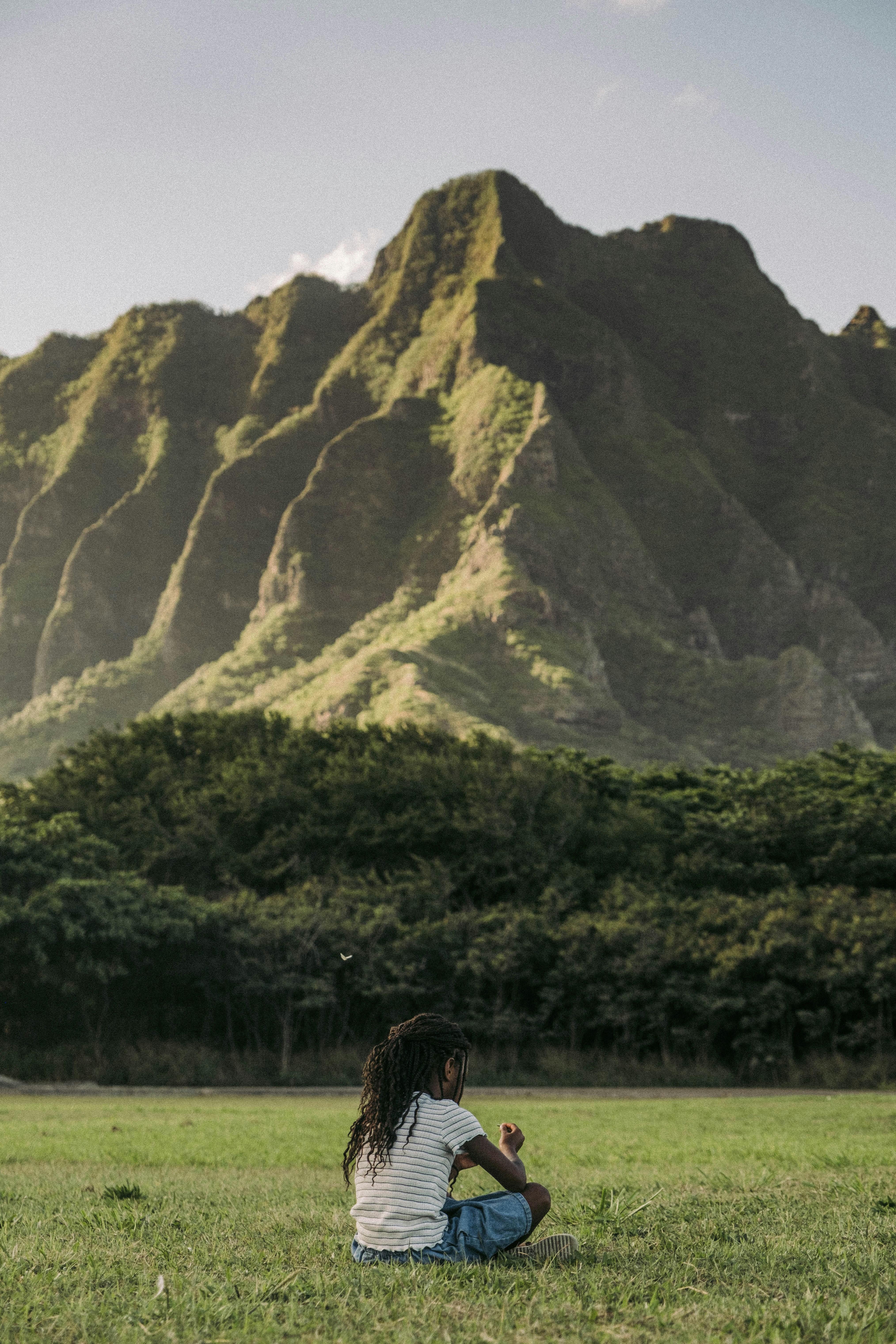 The Acai Berry Promise: Unlocking a Better Quality Life