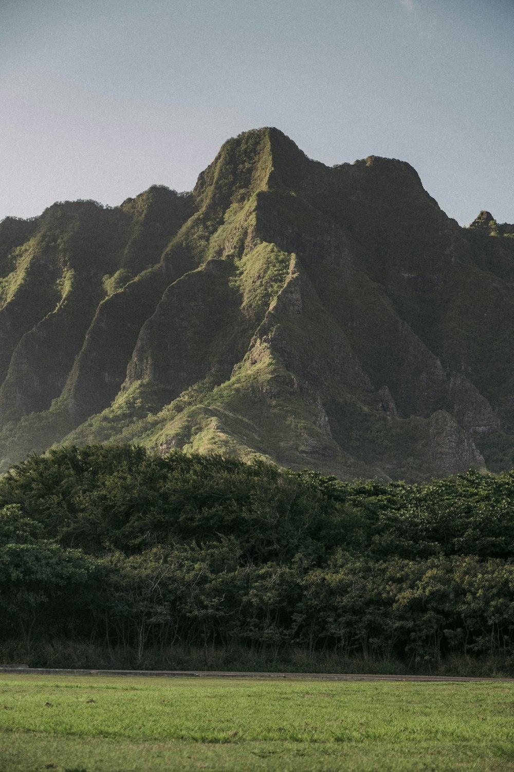 a large mountain with trees below