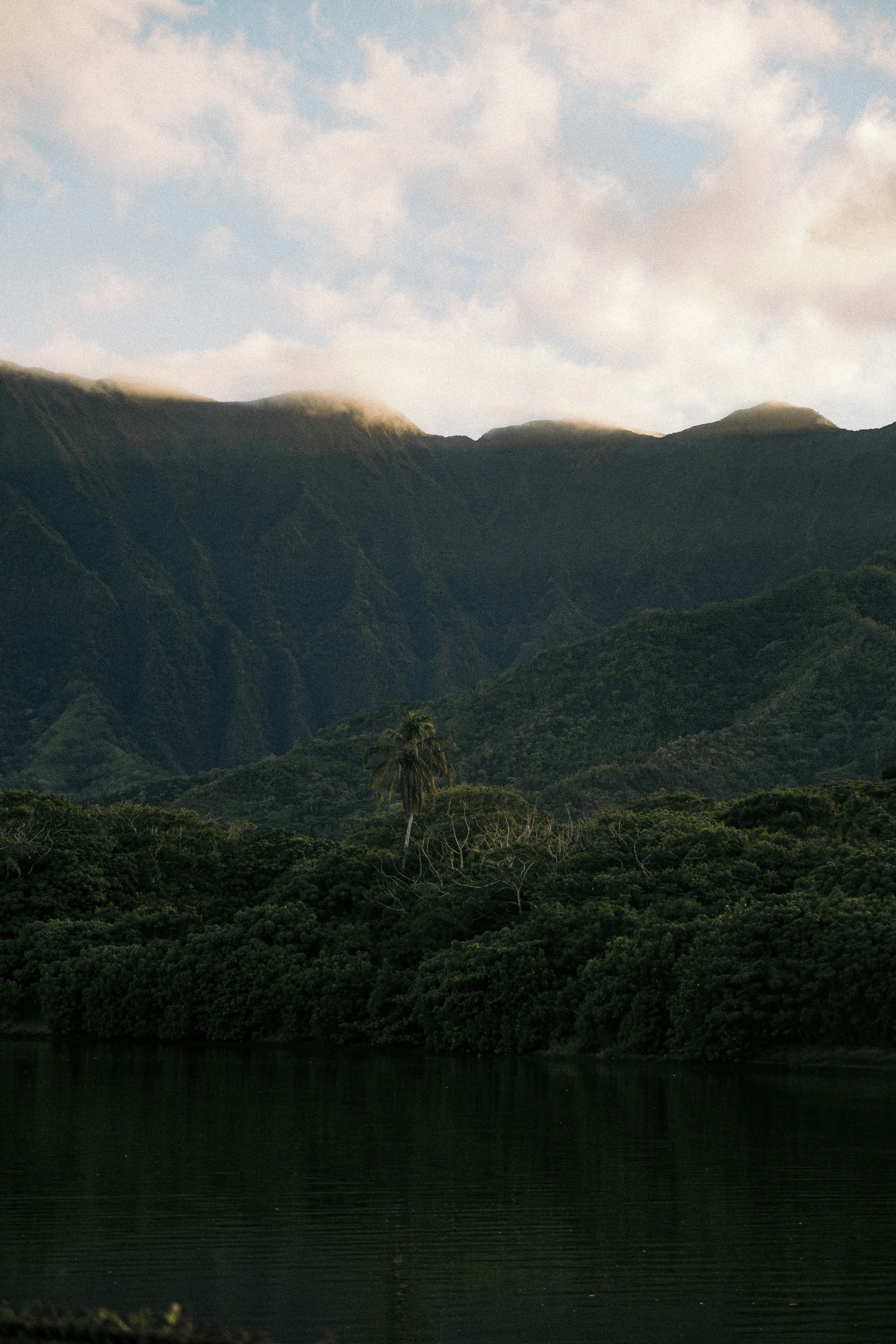 Photo by colinandmeg