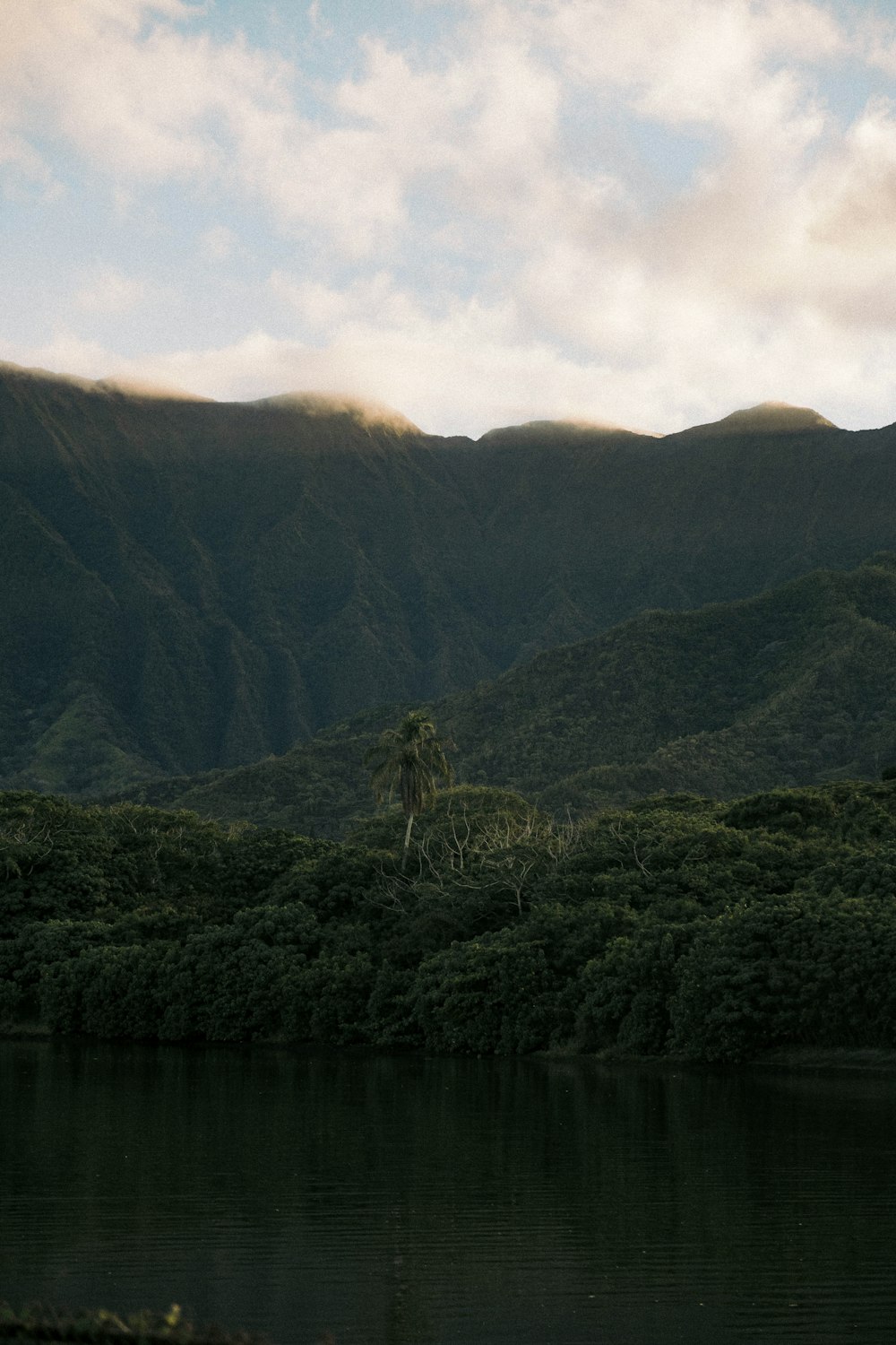 a body of water with trees and mountains in the background