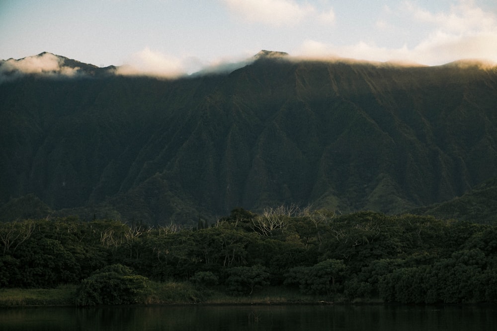 a body of water with trees and mountains in the background