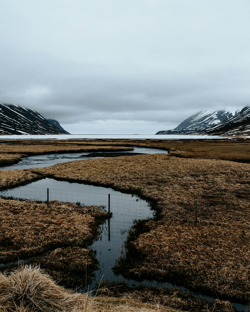 a river with a snowy mountain in the background