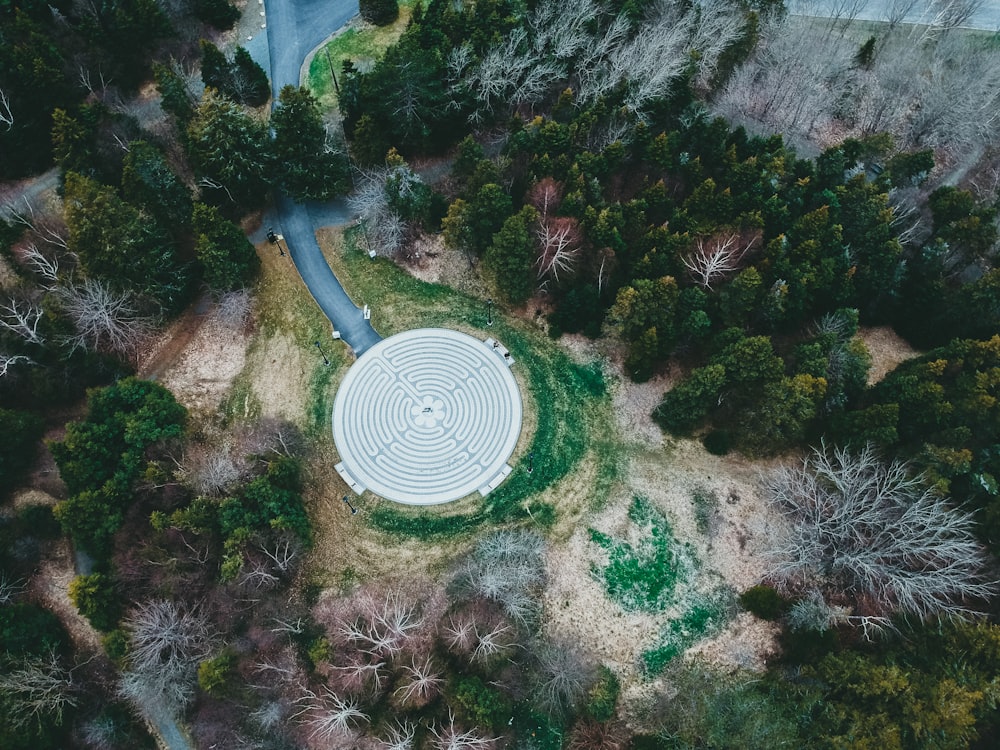 a winding road through a forest