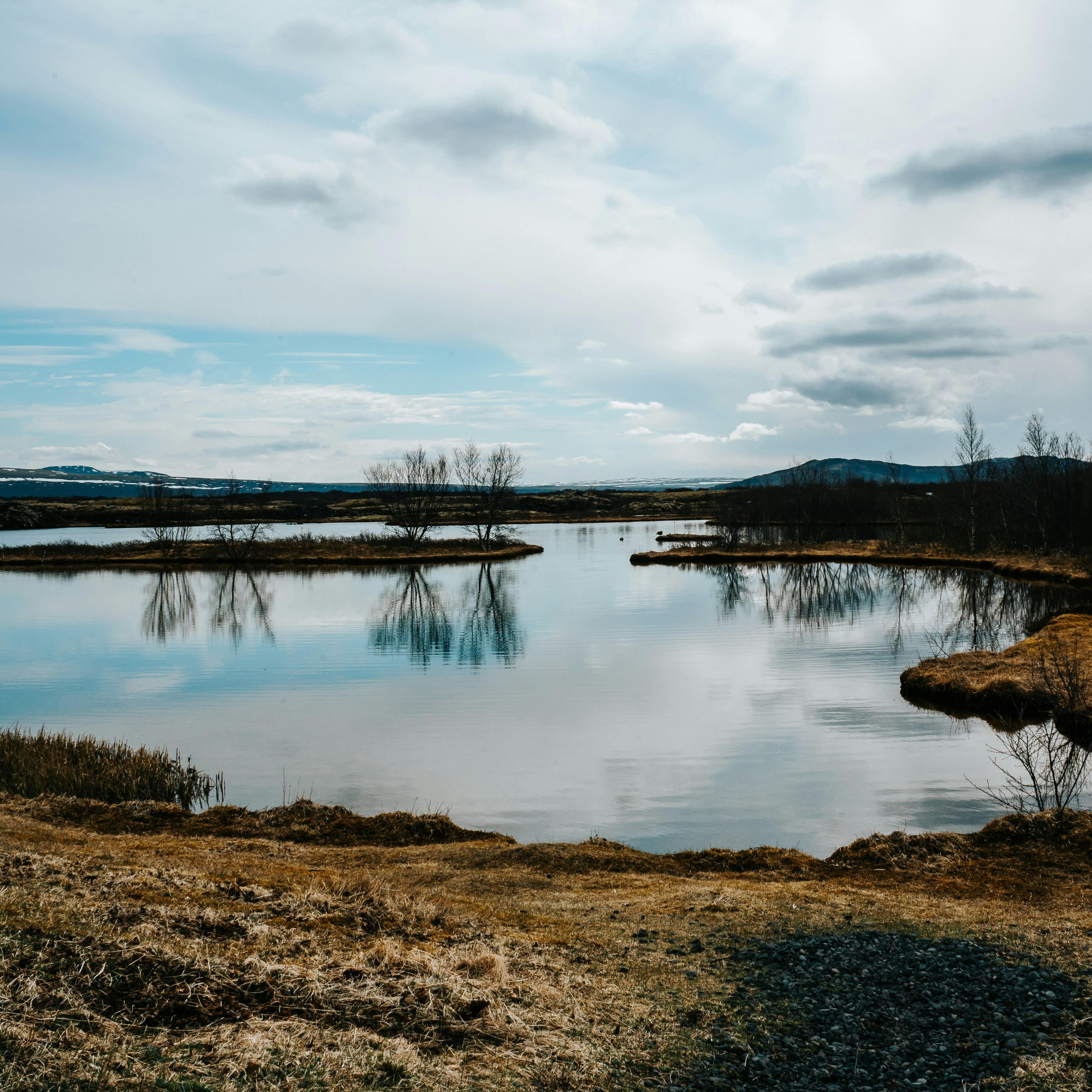 Photo by charliegallant