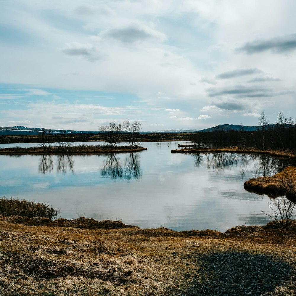 a body of water with trees and rocks around it