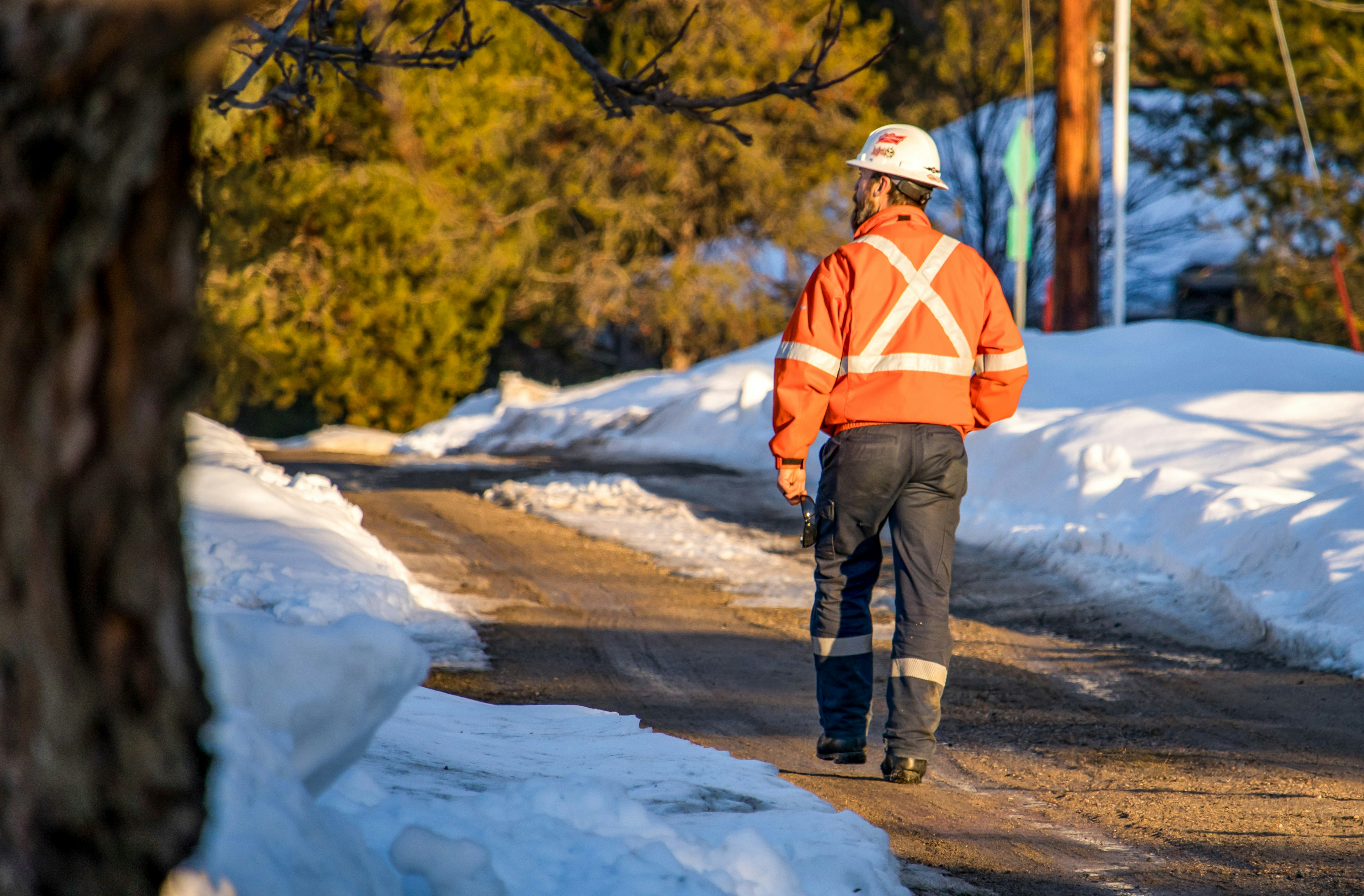 Image of a Professional Working in Canada
