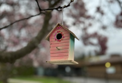 A cozy bird feeder hanging near colorful insect houses nestled among blooming flowers.