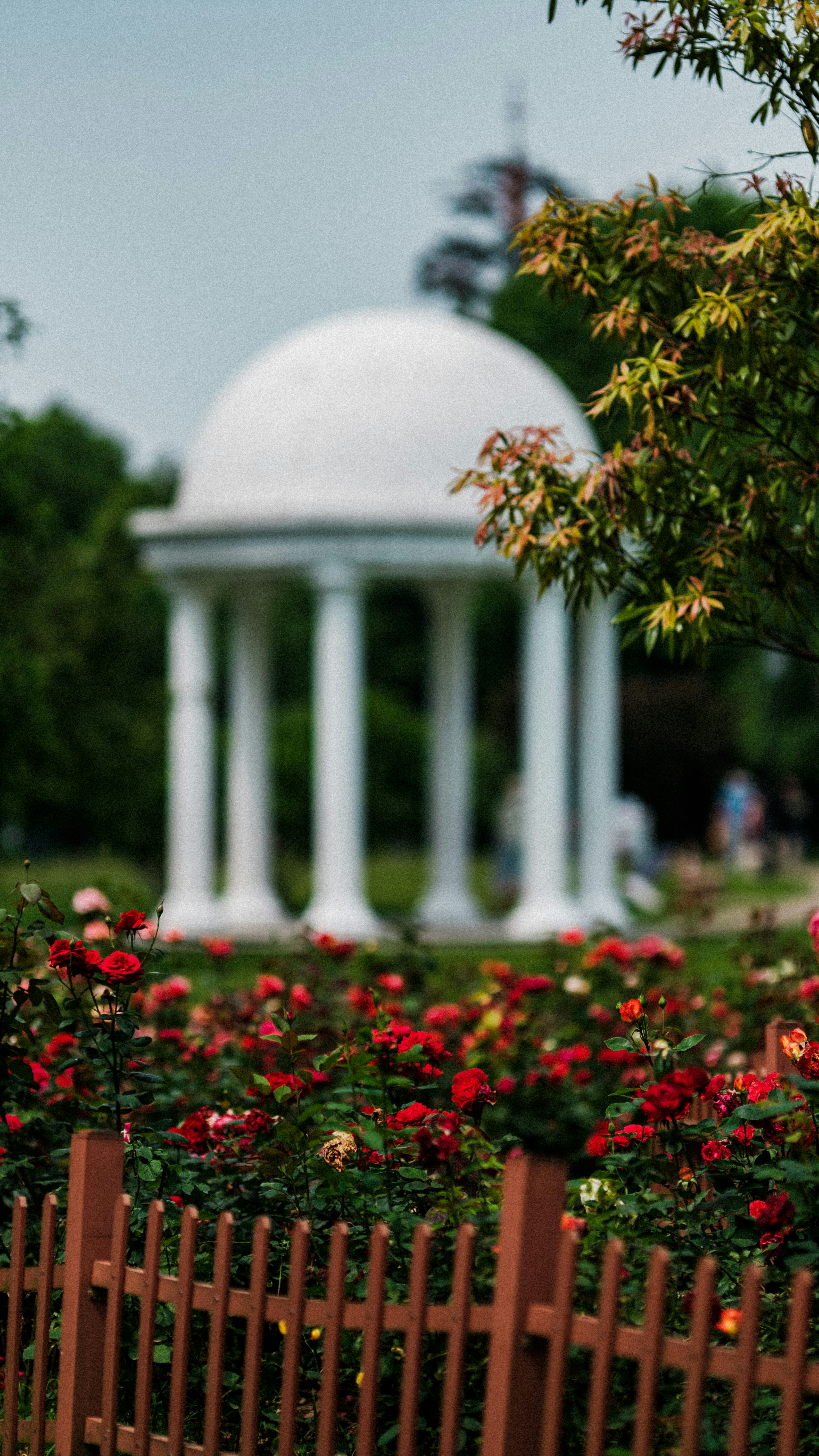 Photo by xiexianghua