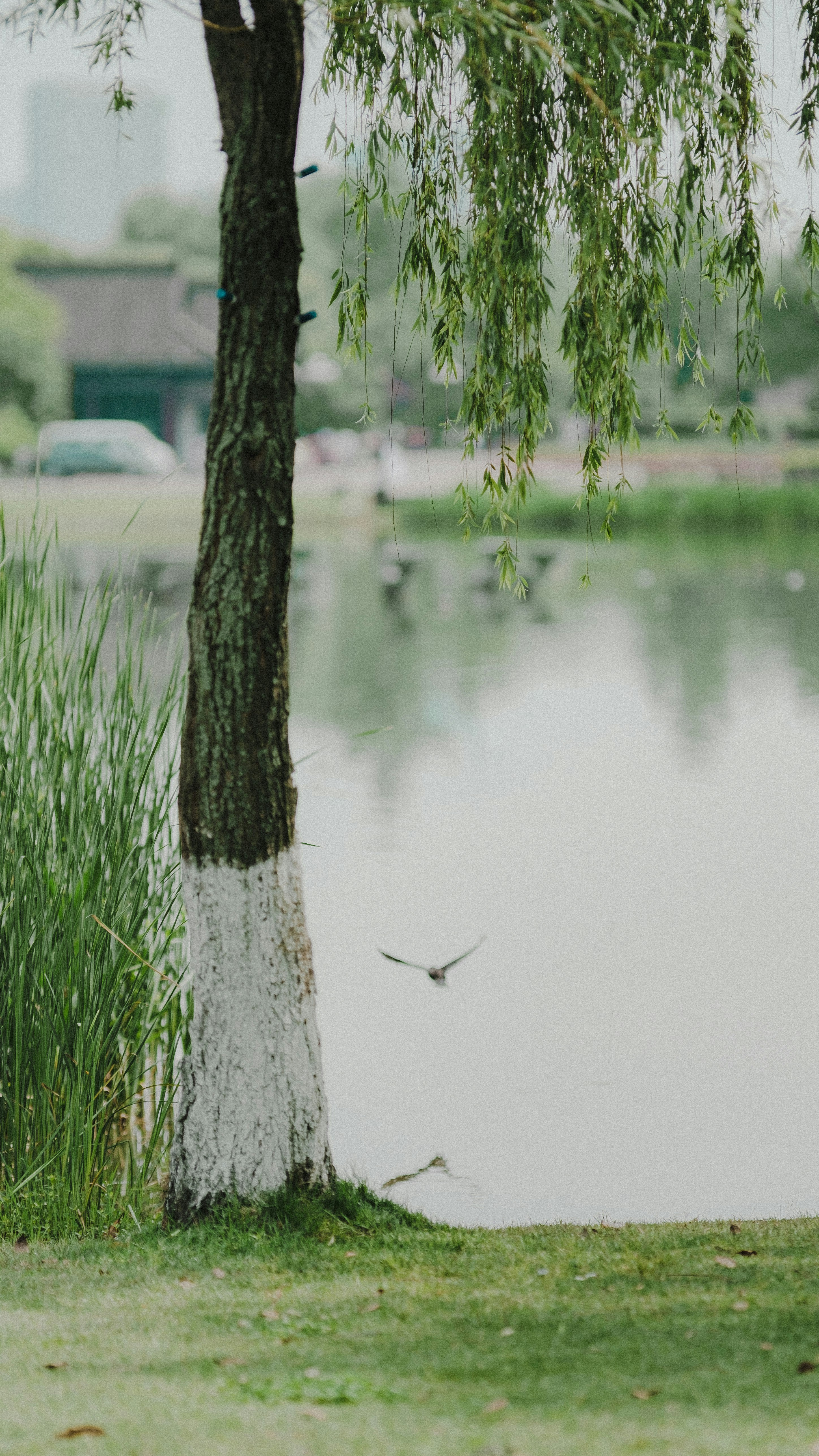 Photo by xiexianghua