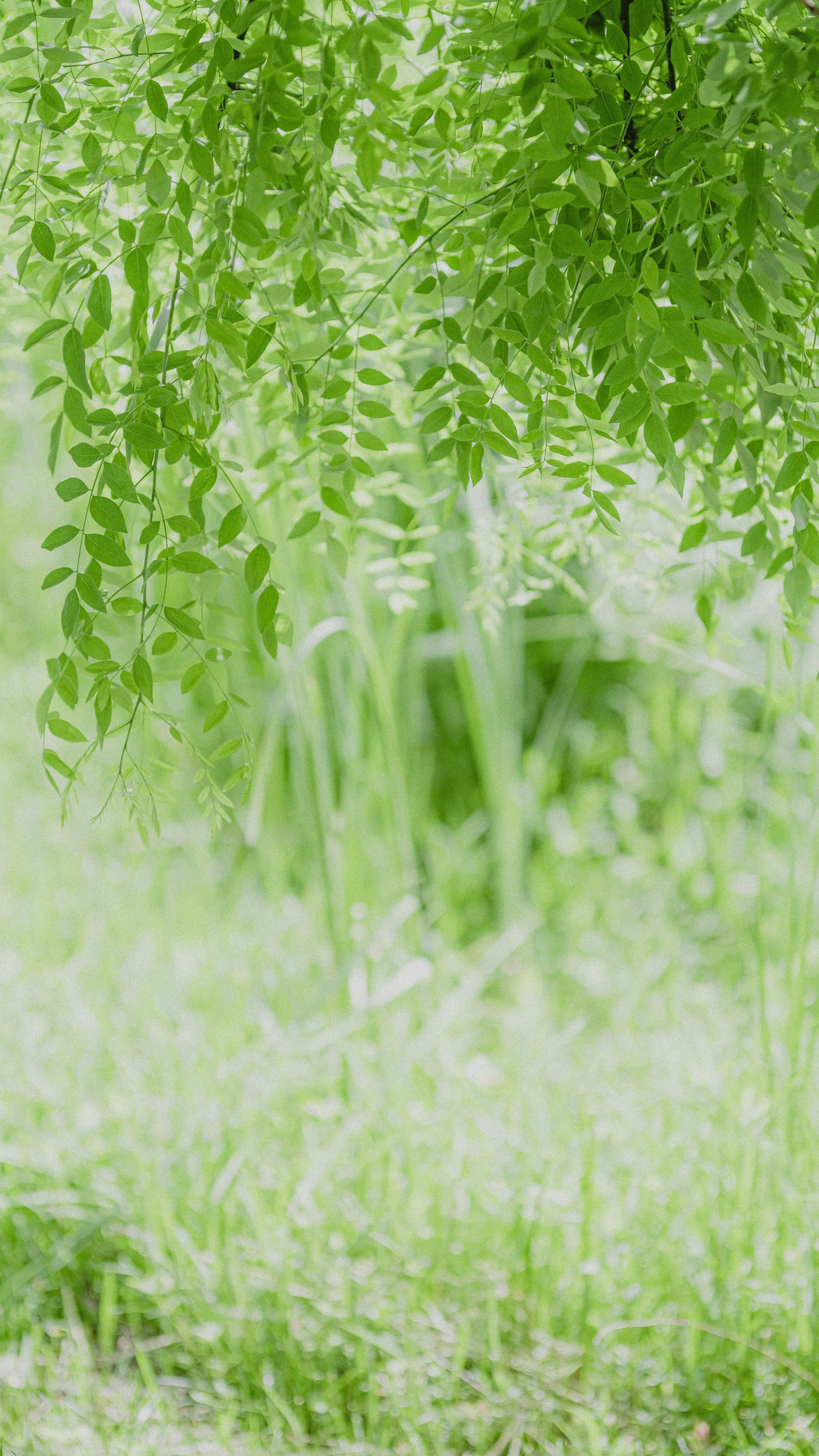 Photo by xiexianghua