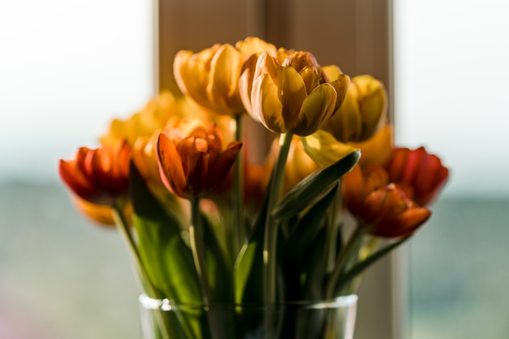 a vase of orange flowers