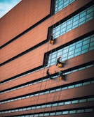Several workers are suspended on ropes, cleaning or maintaining the windows of a large, modern building with brown panels and blue-tinted glass. The structure has a slightly curved facade, and the workers are equipped with protective helmets and gear.
