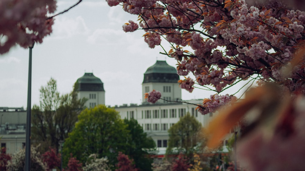 a building with a dome roof and trees in front of it