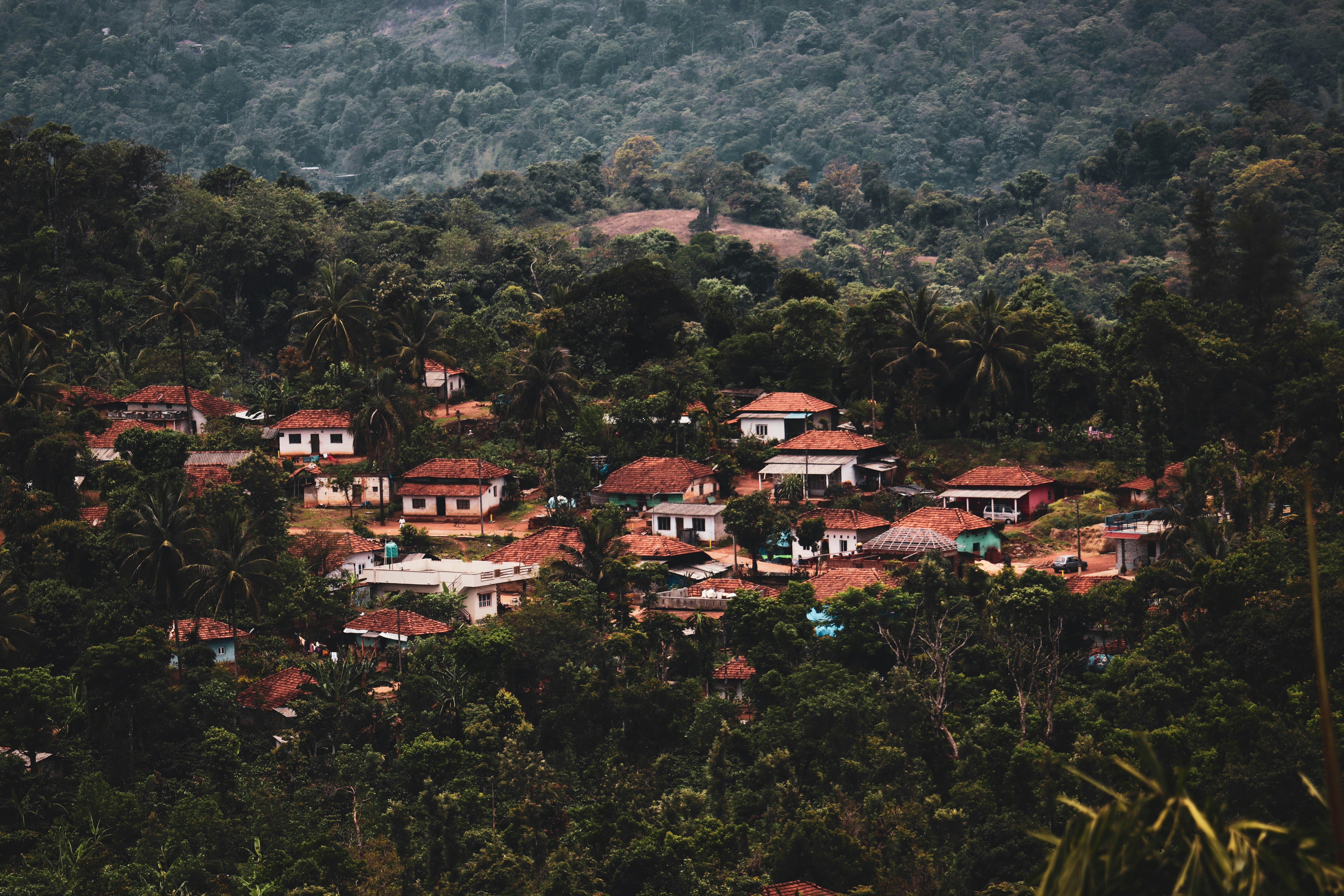 Photo by casarulez007