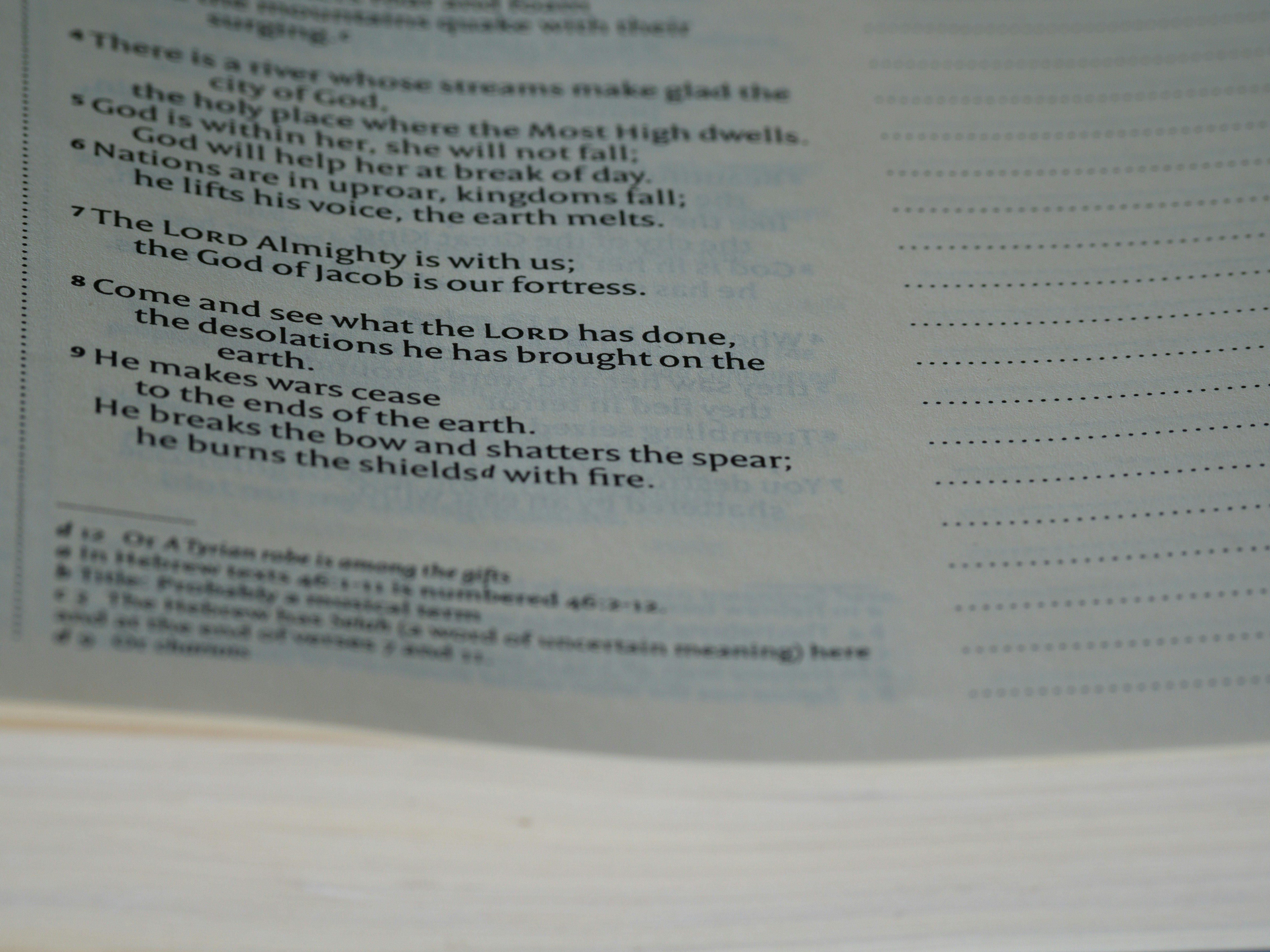 Photo by brett_jordan